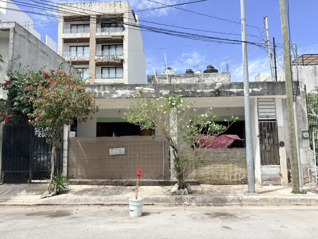 Single-story urban house facade with trees