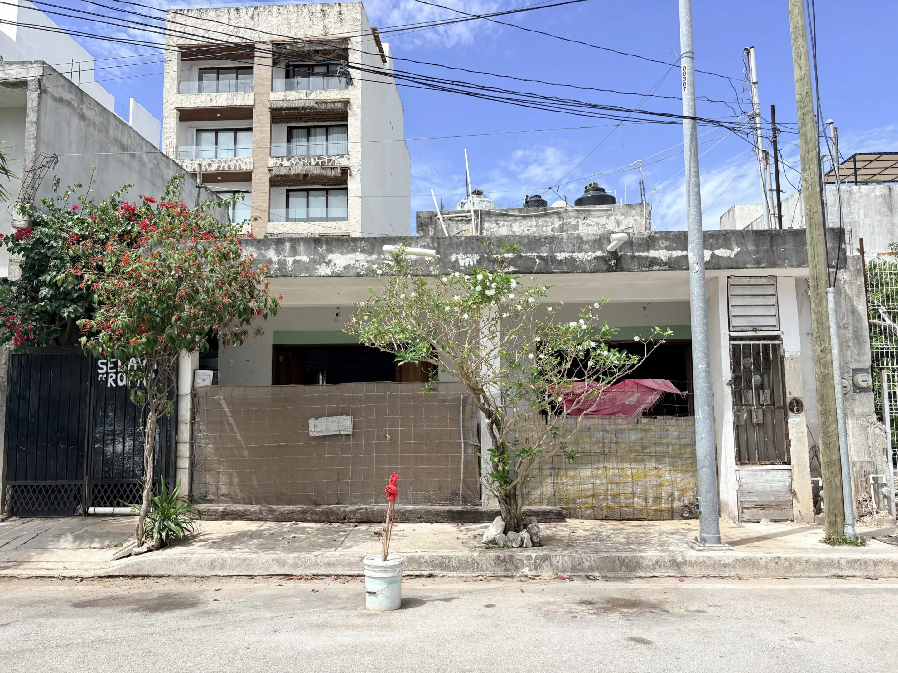 Single-story urban house facade with trees