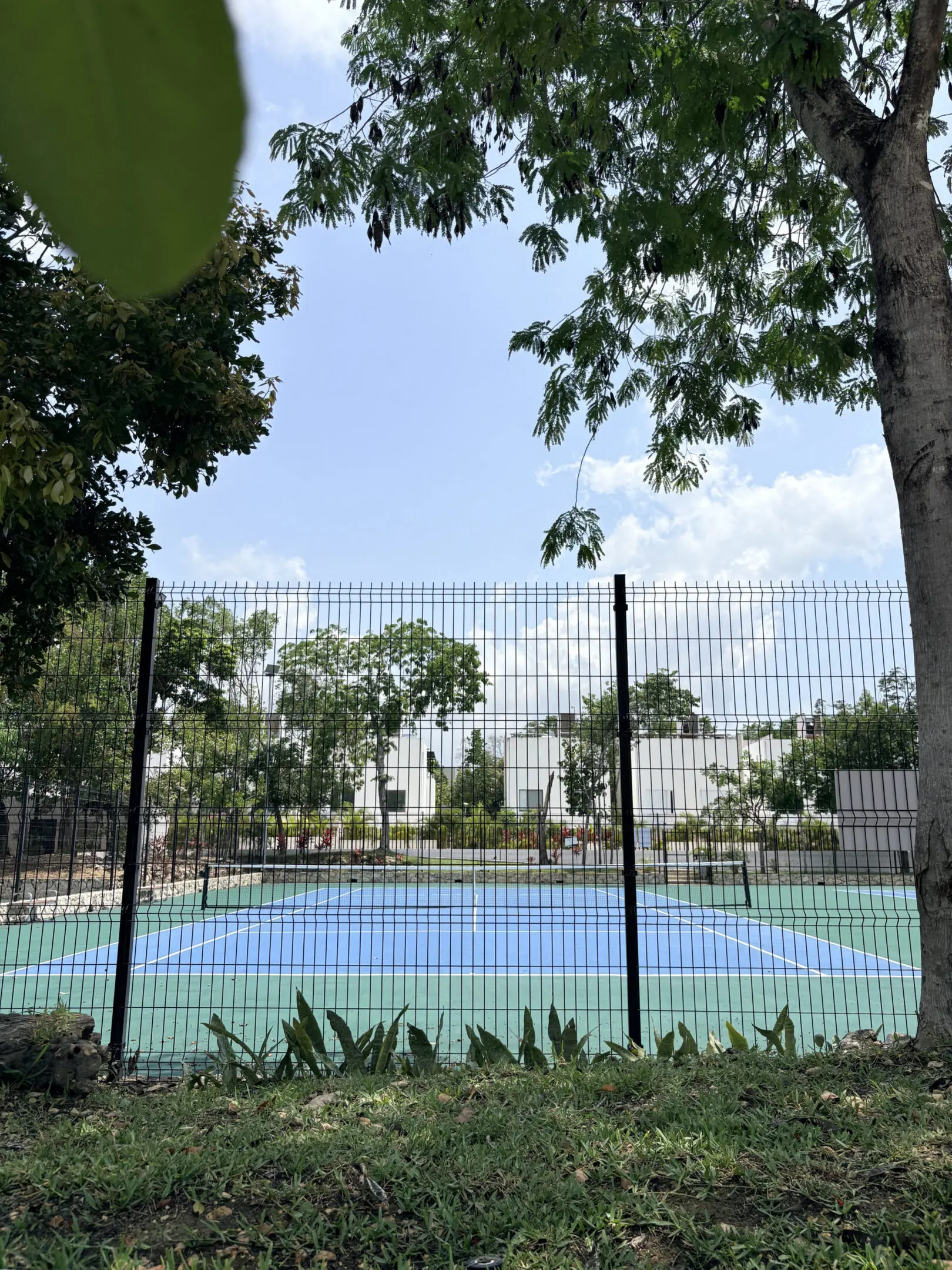 Empty fenced tennis court surrounded by trees