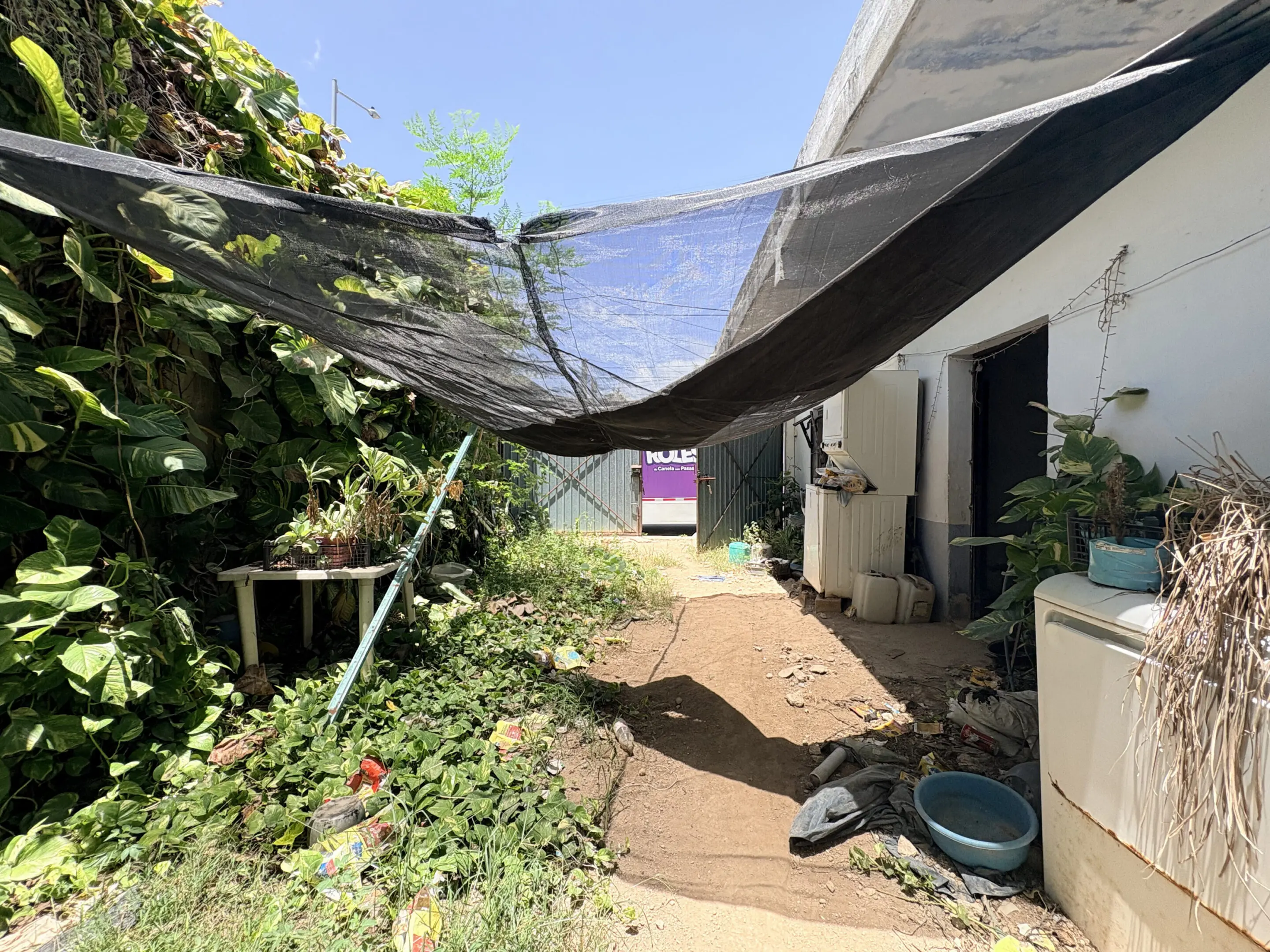 Backyard pathway under shade cloth with plants