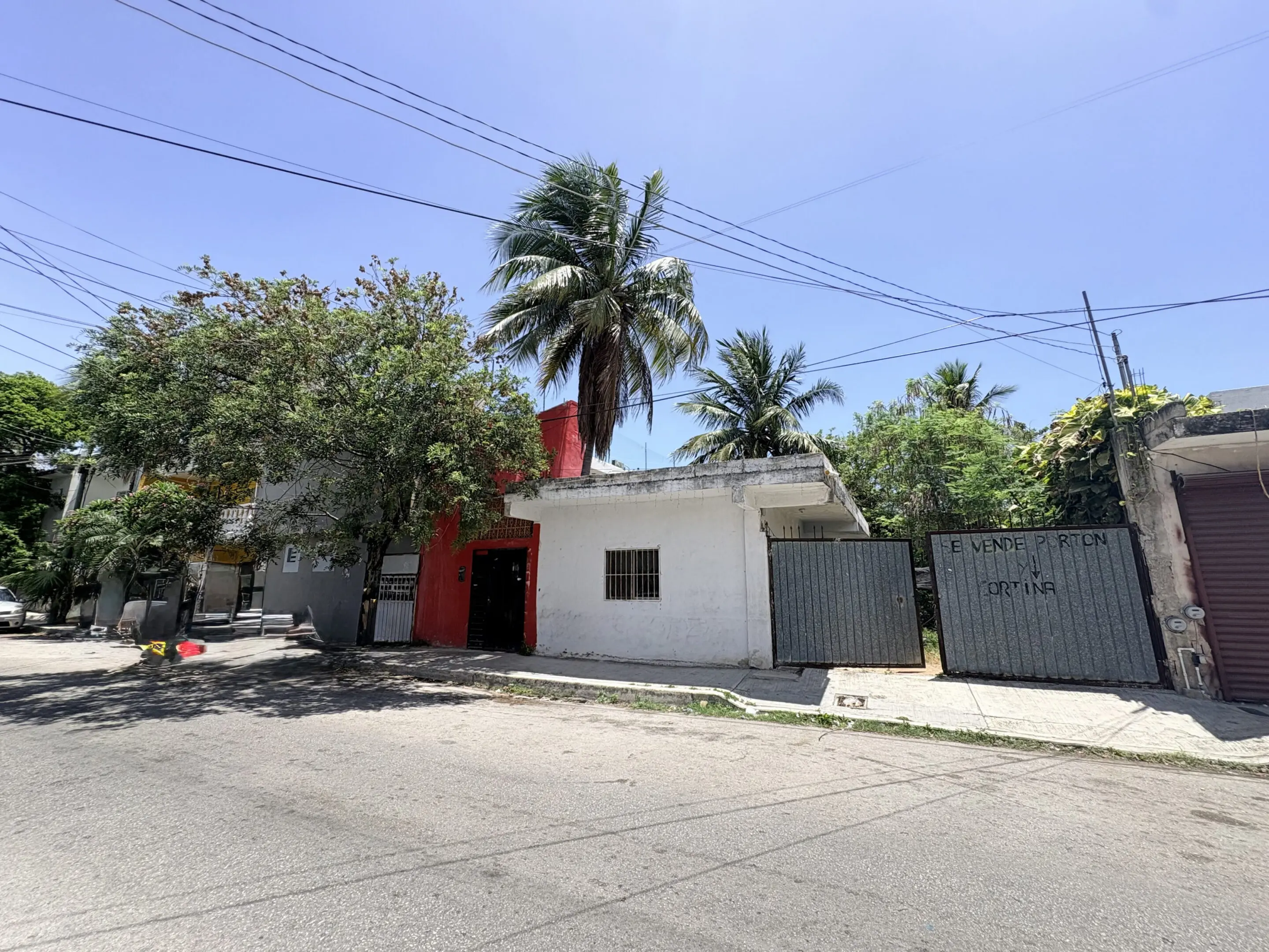 White house with red door and palm trees