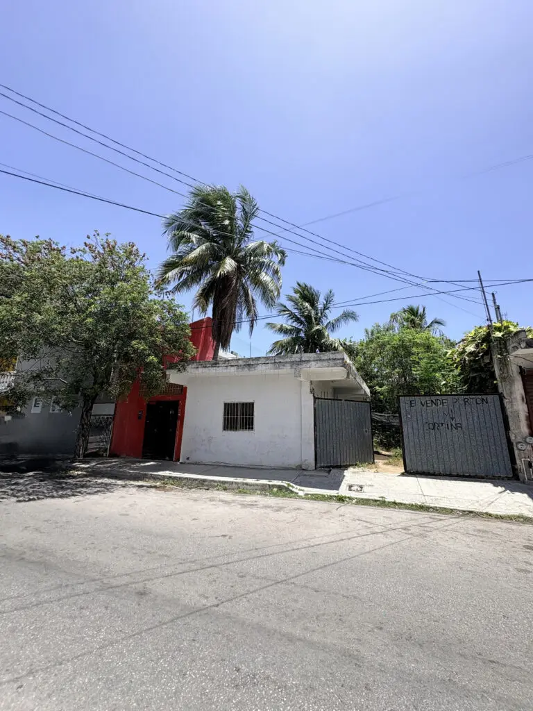 Single story white house with palm trees