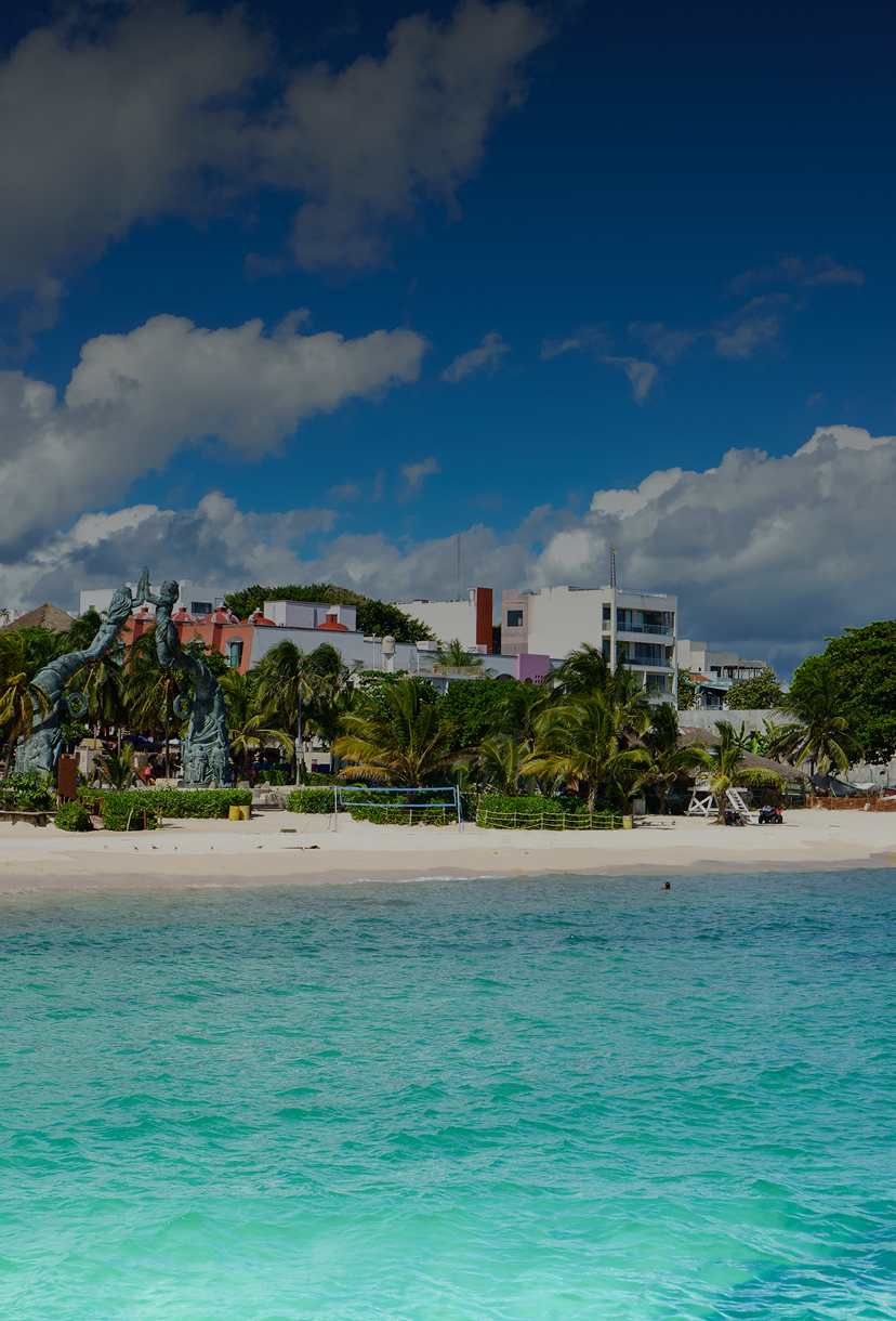 Beachfront with palm trees and turquoise water.