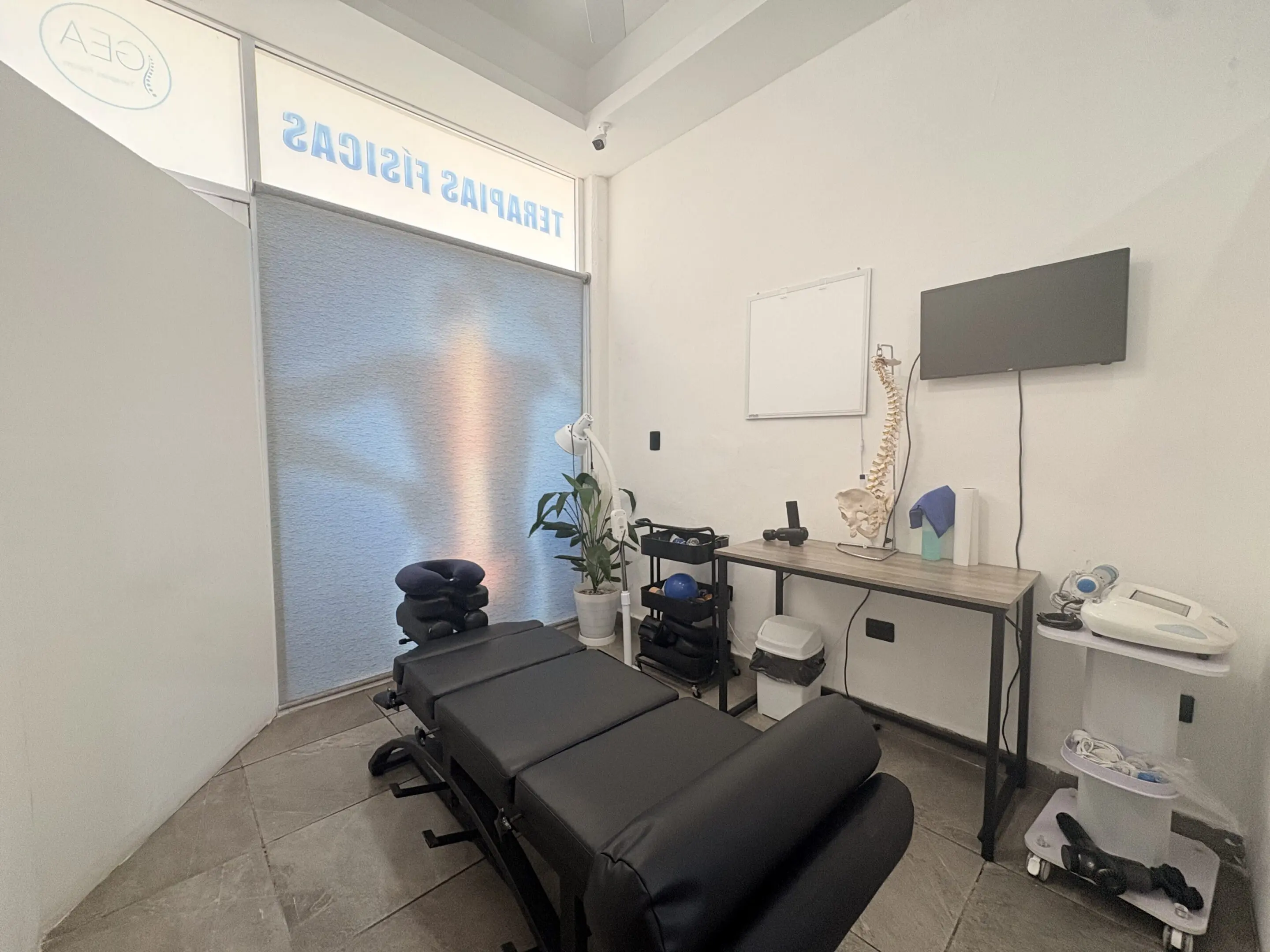 Physical therapy treatment room with spine model