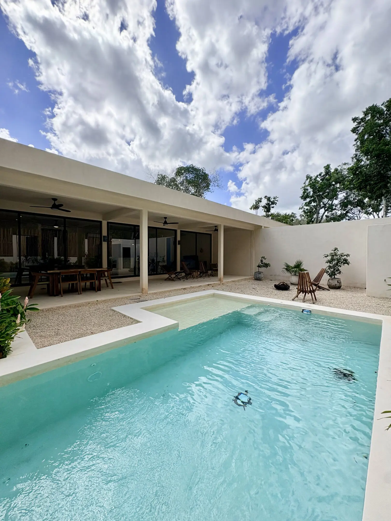 Modern backyard pool with covered patio