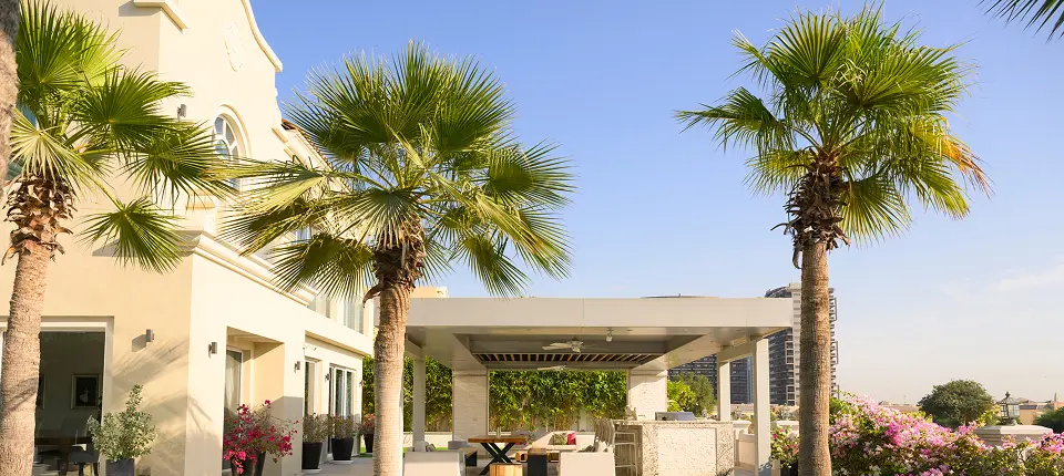 Sunny patio with palm trees and furniture.