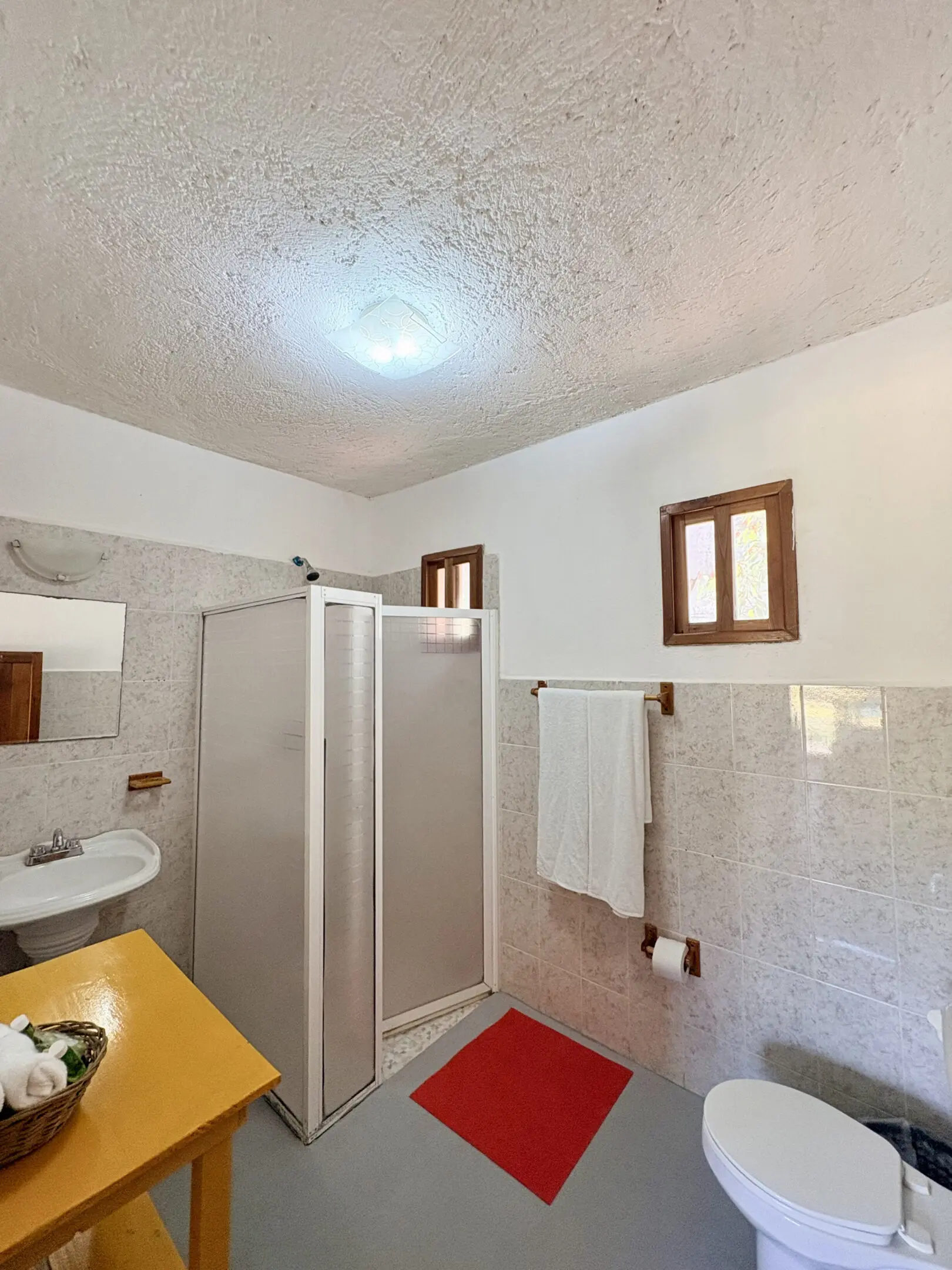 Small bathroom with shower stall and red mat