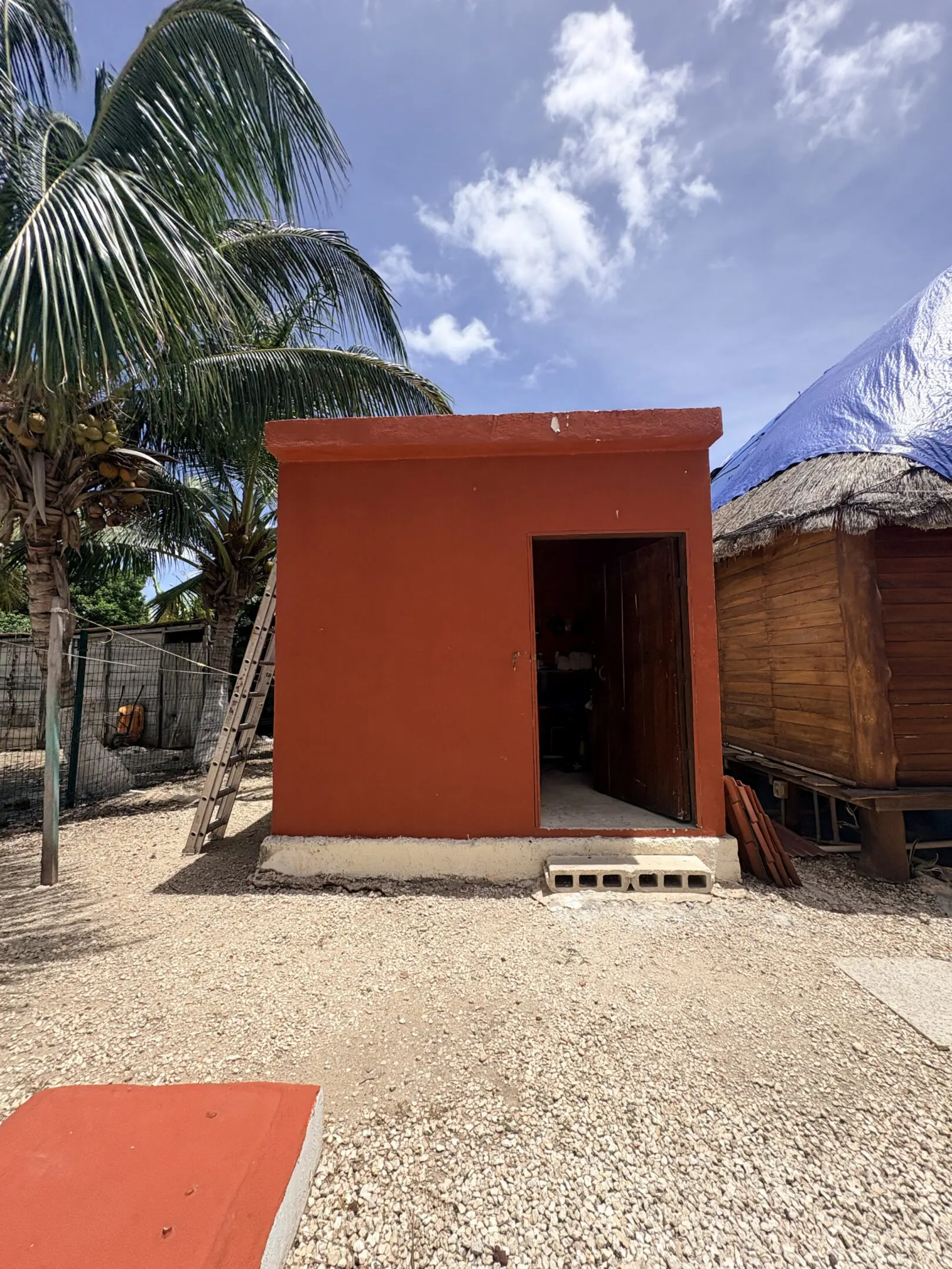 Small red building with open doorway under palm