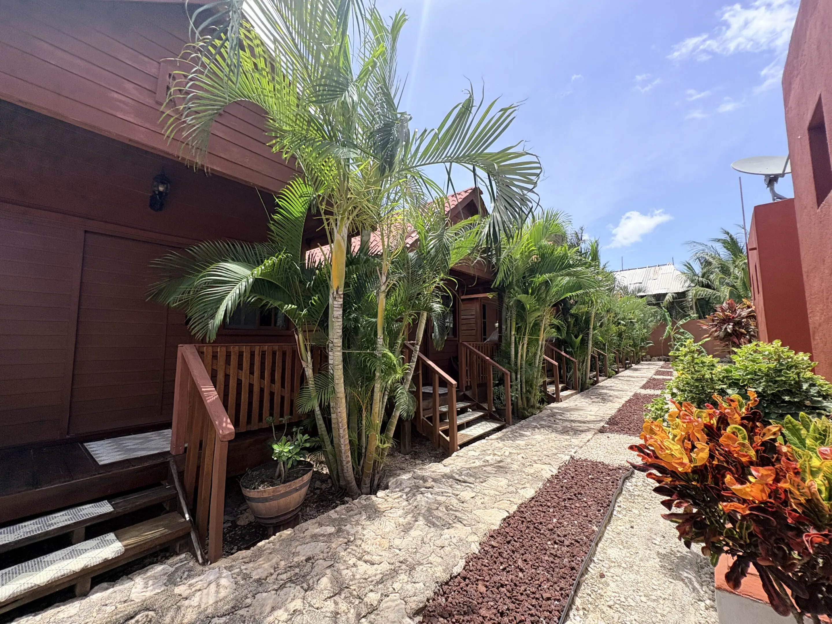 Tropical bungalow walkway lined with palm trees