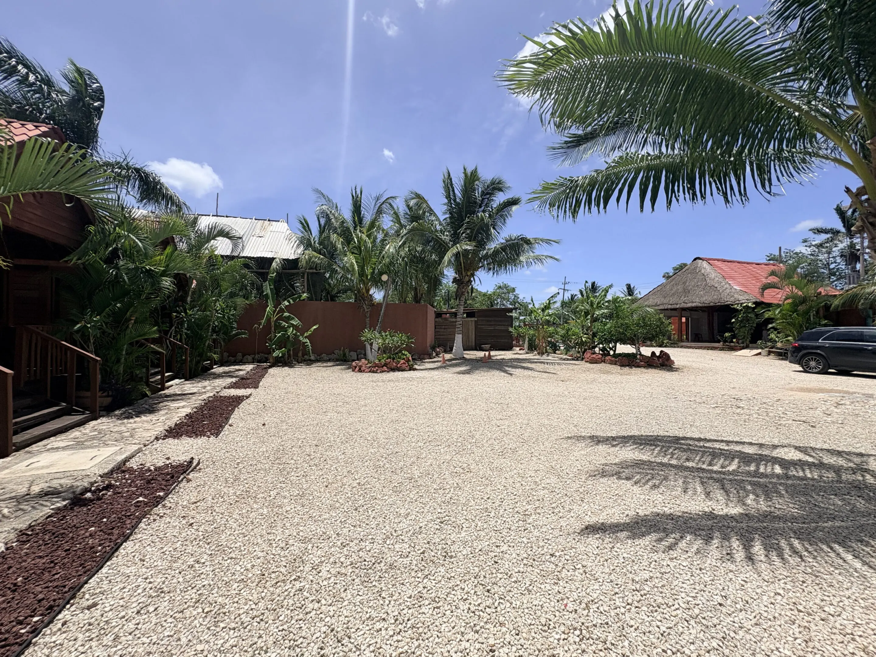 Tropical resort courtyard with palms and bungalows