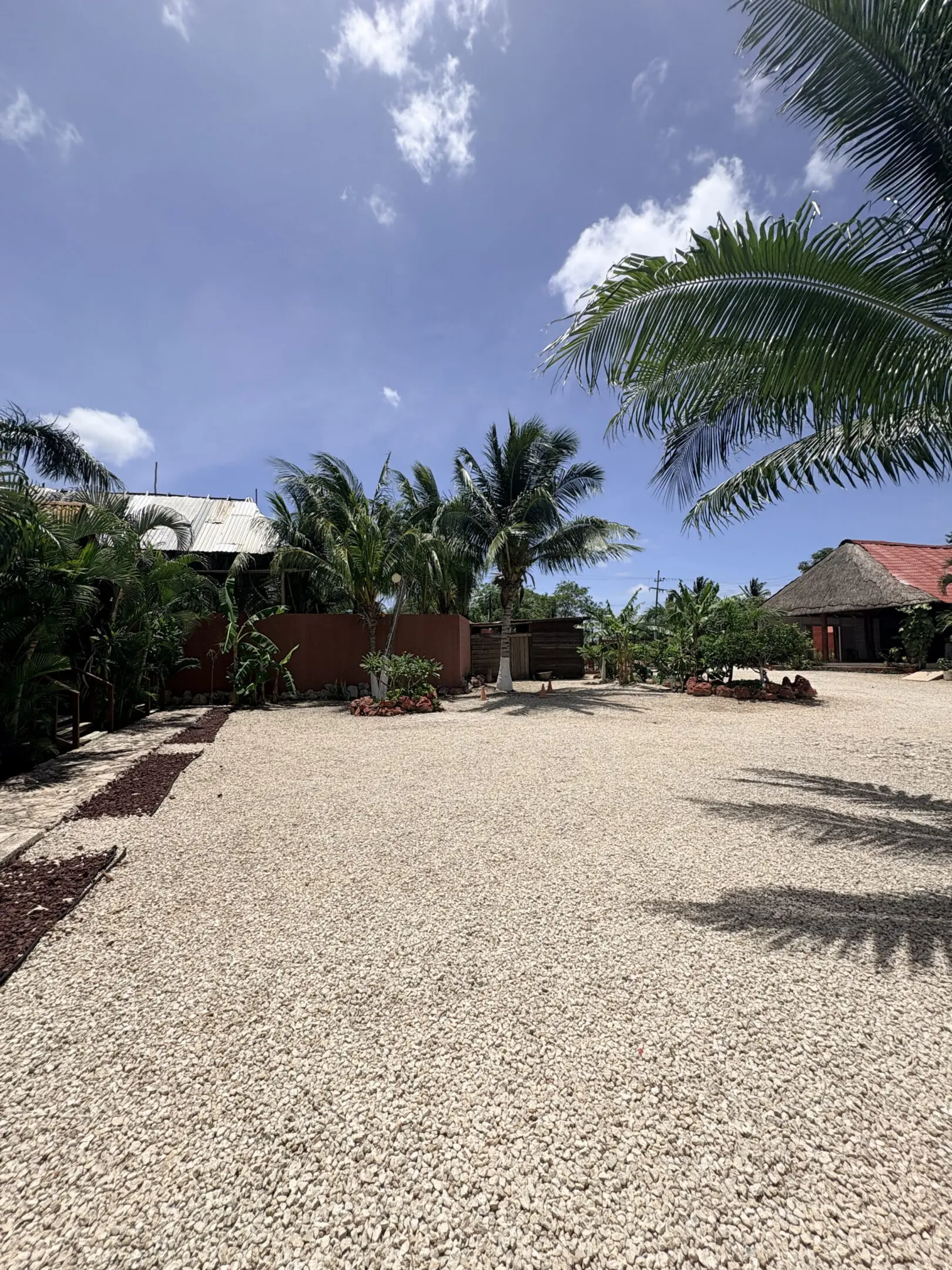 Tropical gravel courtyard with palm trees