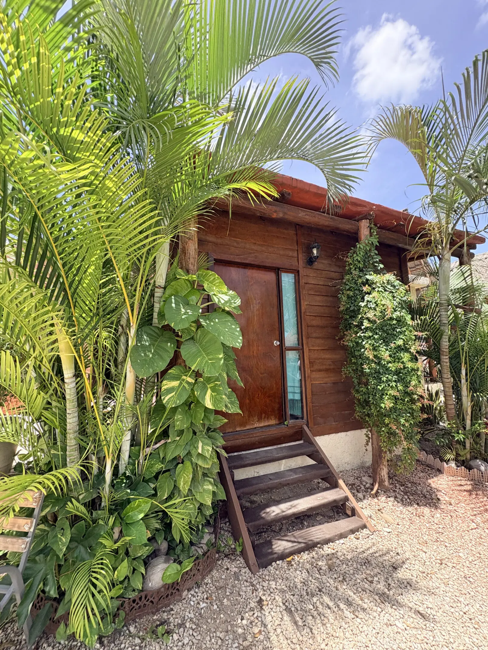 Wooden cabin entrance surrounded by tropical plants