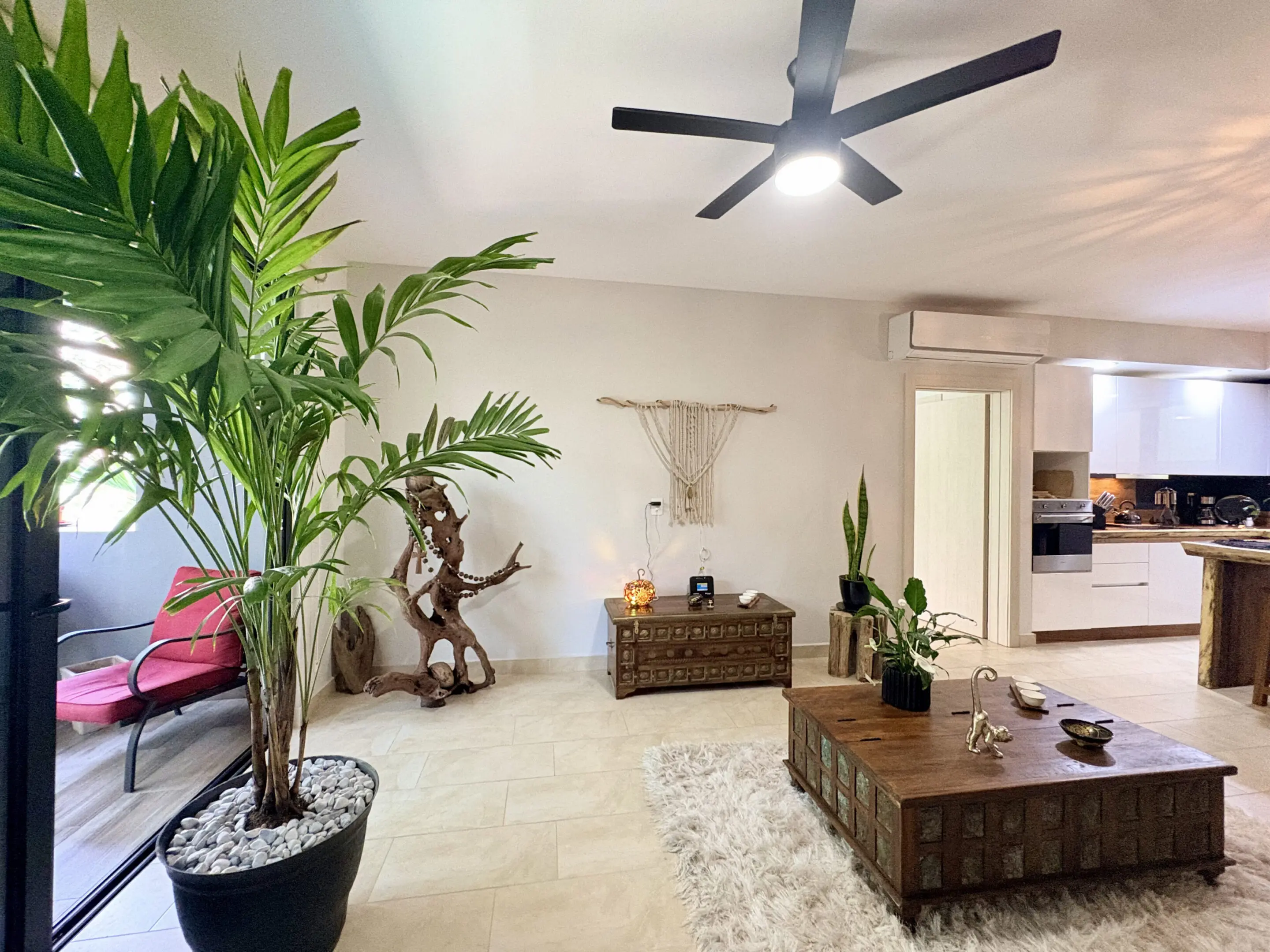 Bright open living room with potted palm