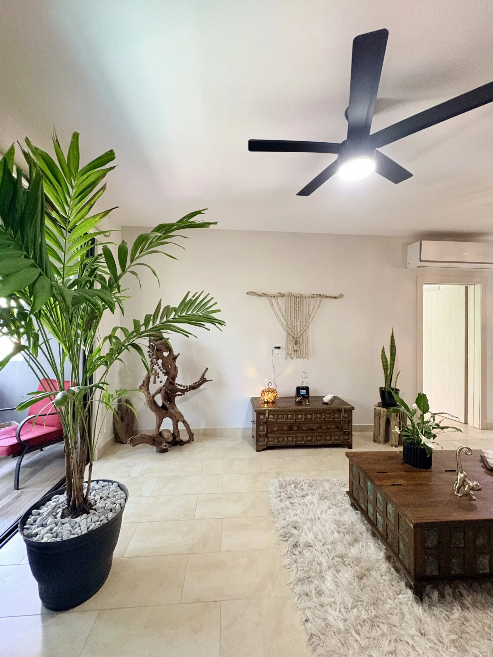 Bright modern living room with large potted palm