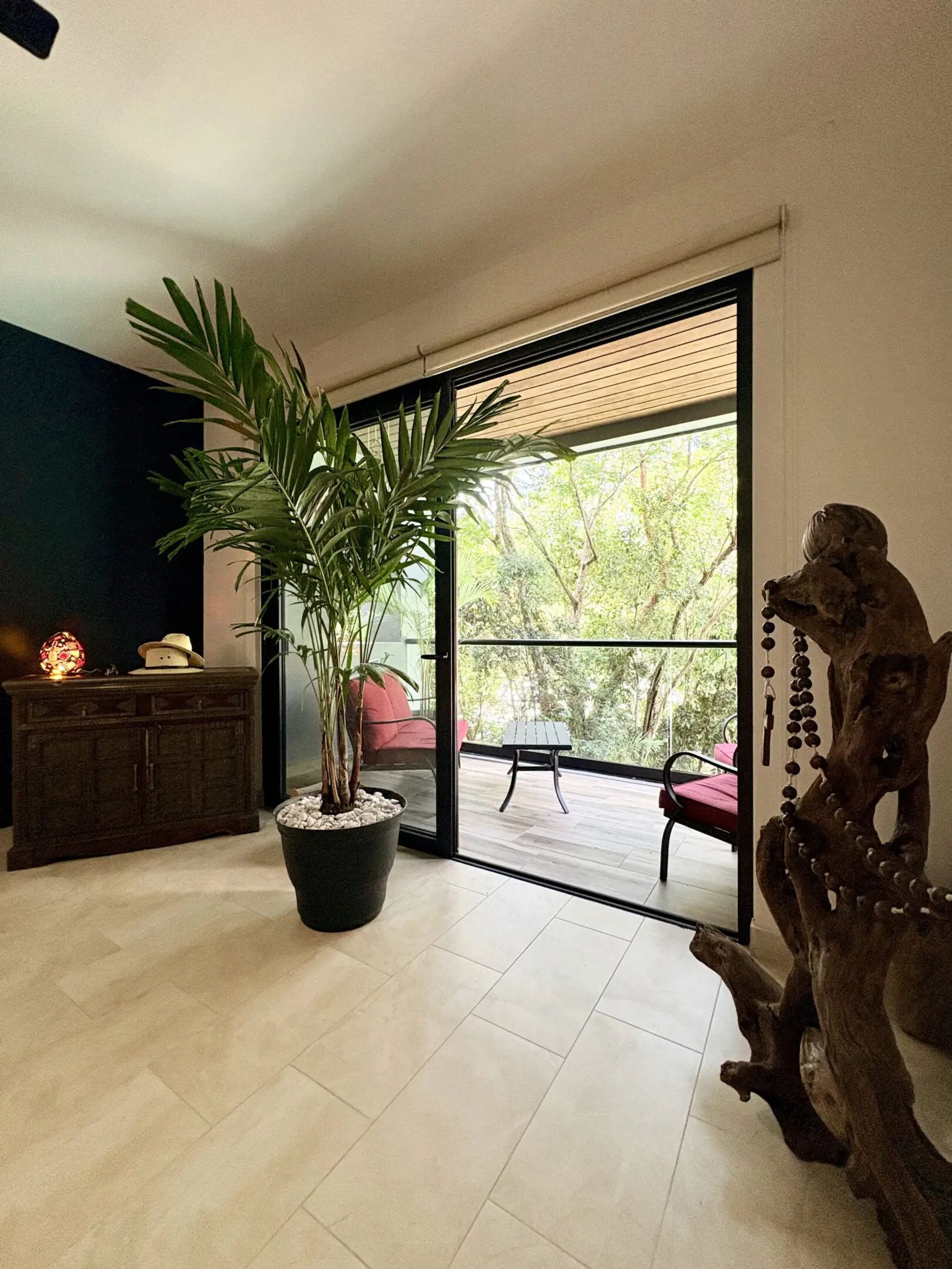 Indoor potted palm by sliding glass doors
