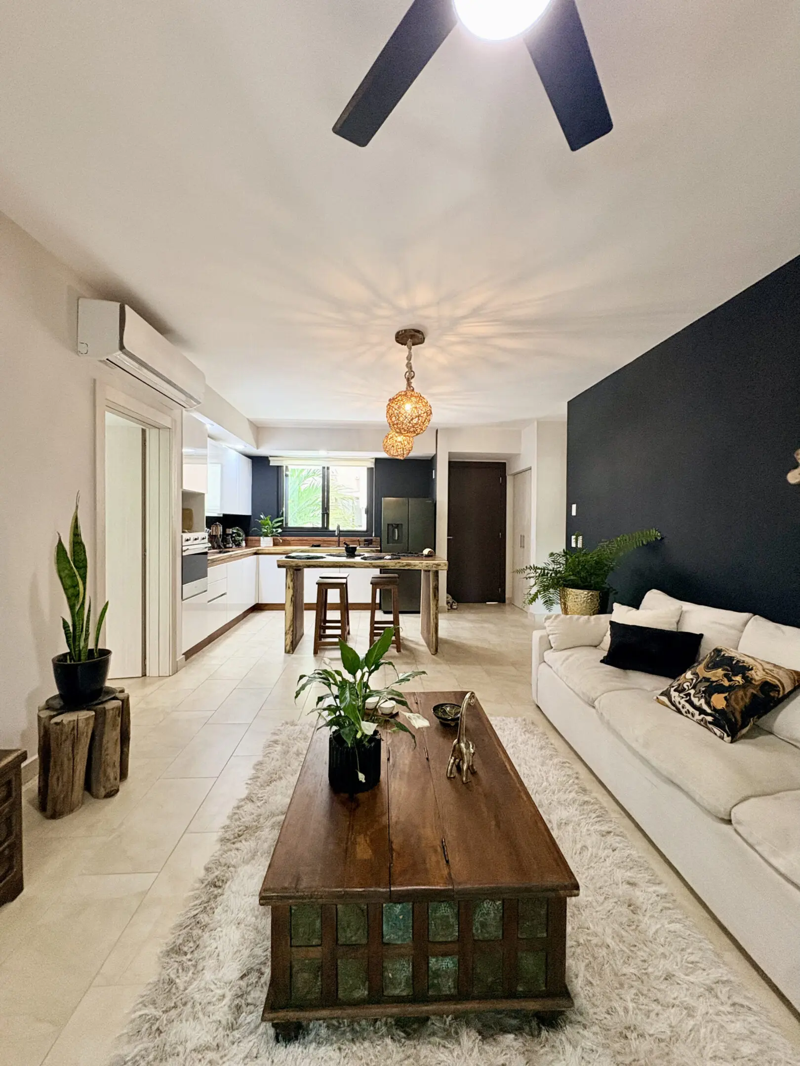 Open-plan living room and kitchen with plants