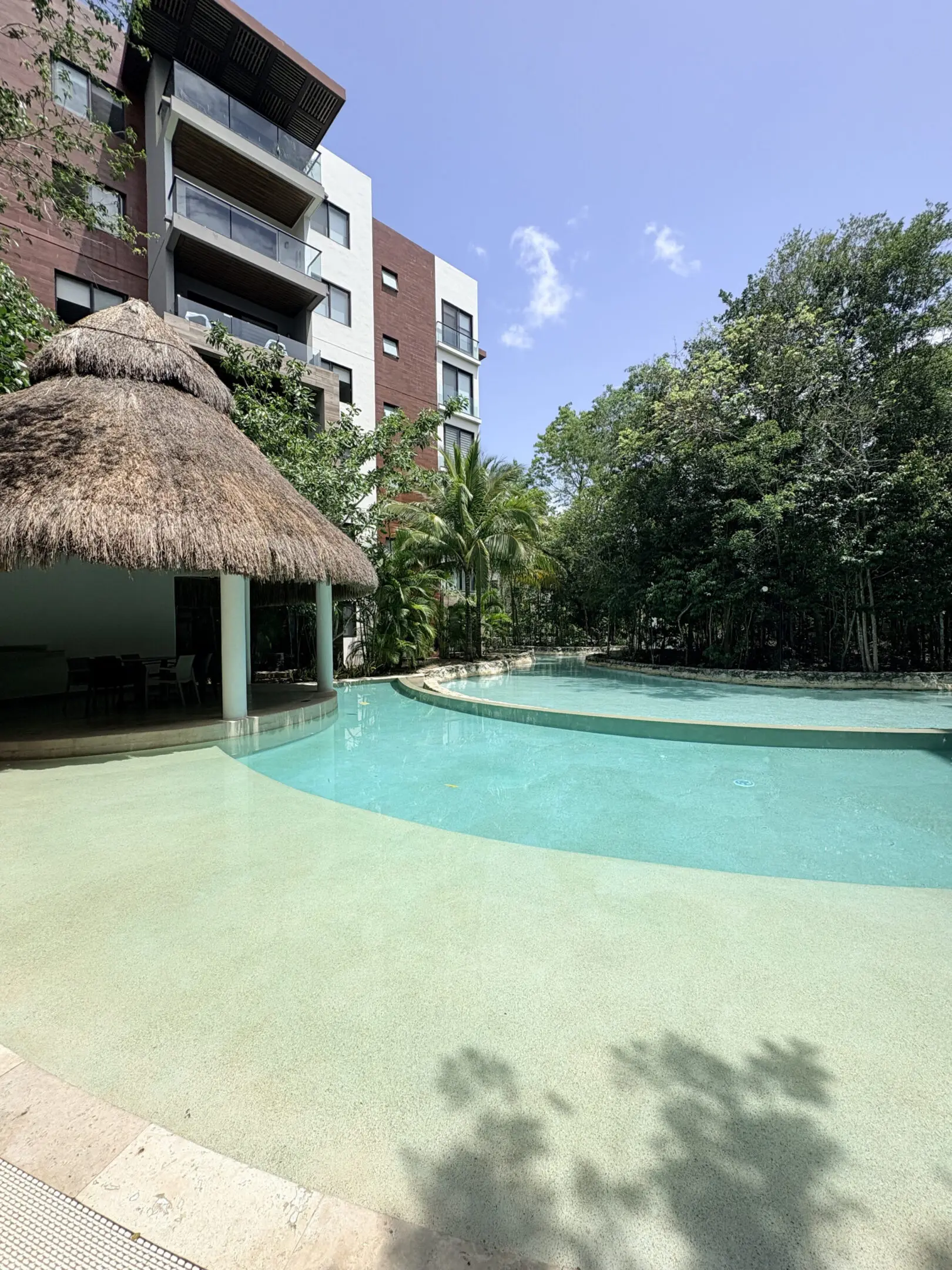 Tropical pool with thatched cabana and apartments