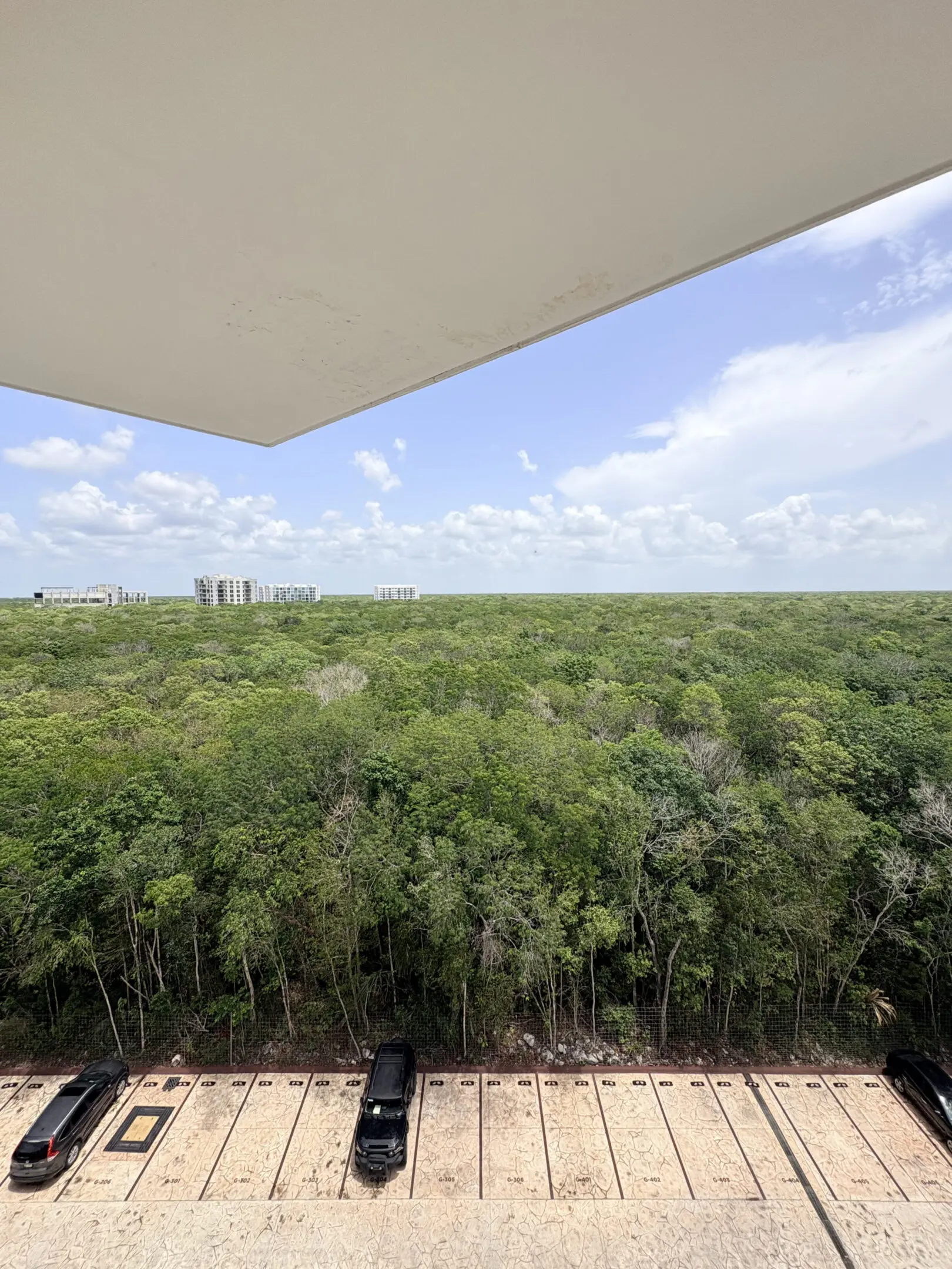 Balcony view over forest, parking lot below