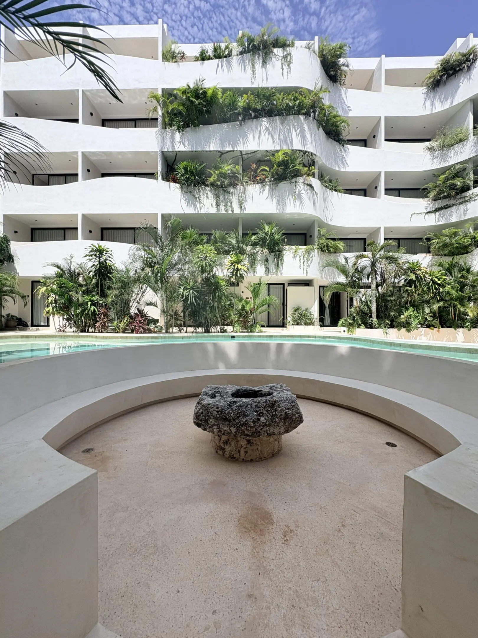 Contemporary courtyard with pool and hanging plants