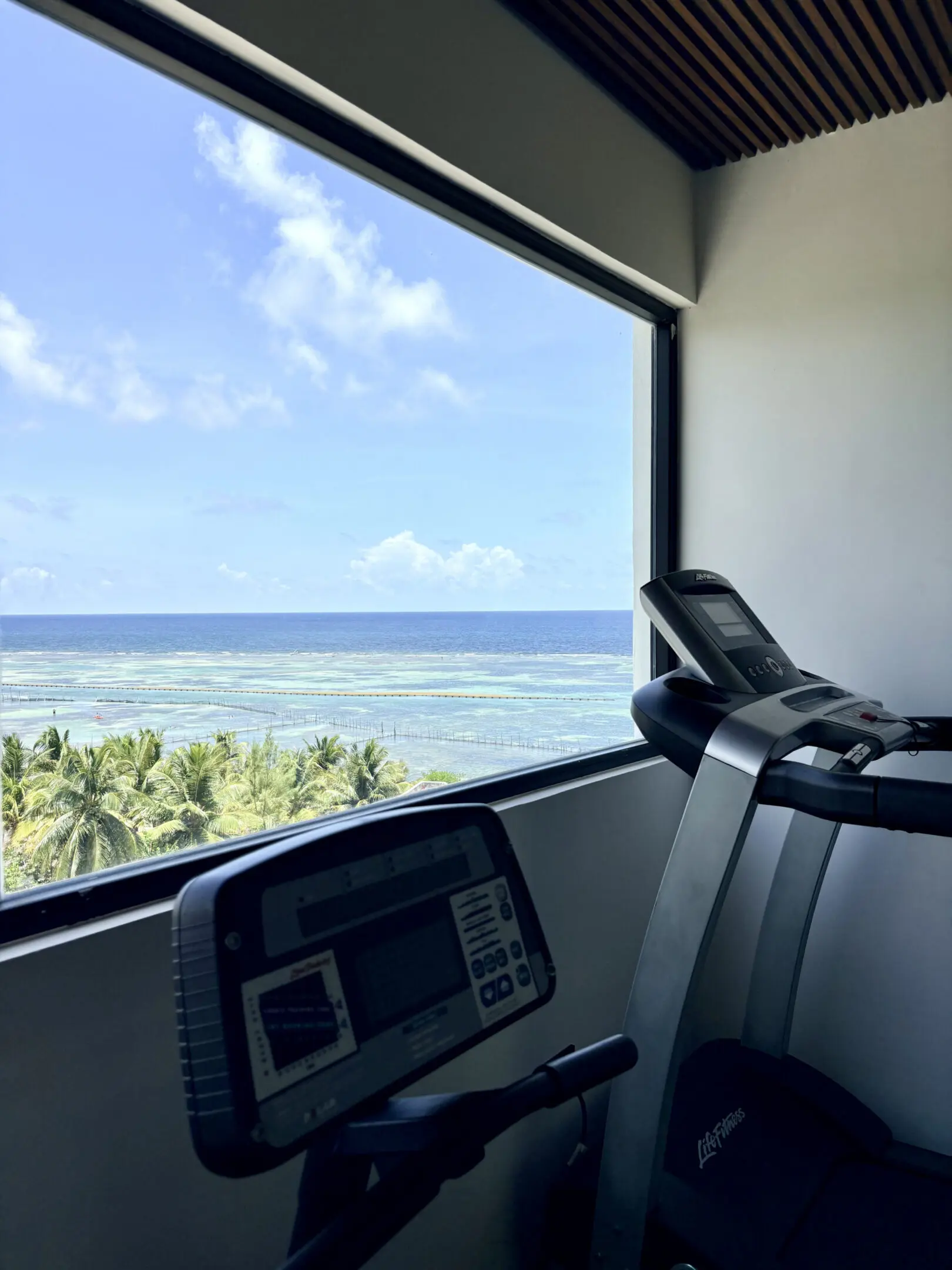 Gym treadmill with ocean view and palms