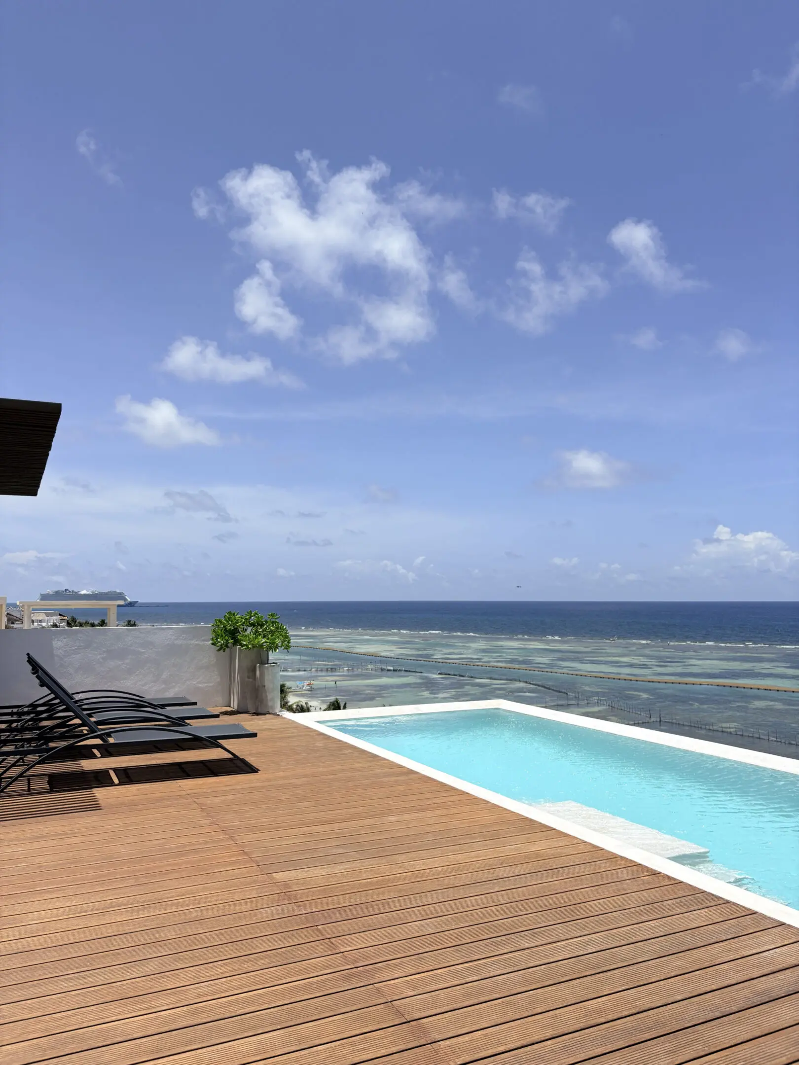 Rooftop infinity pool with ocean view