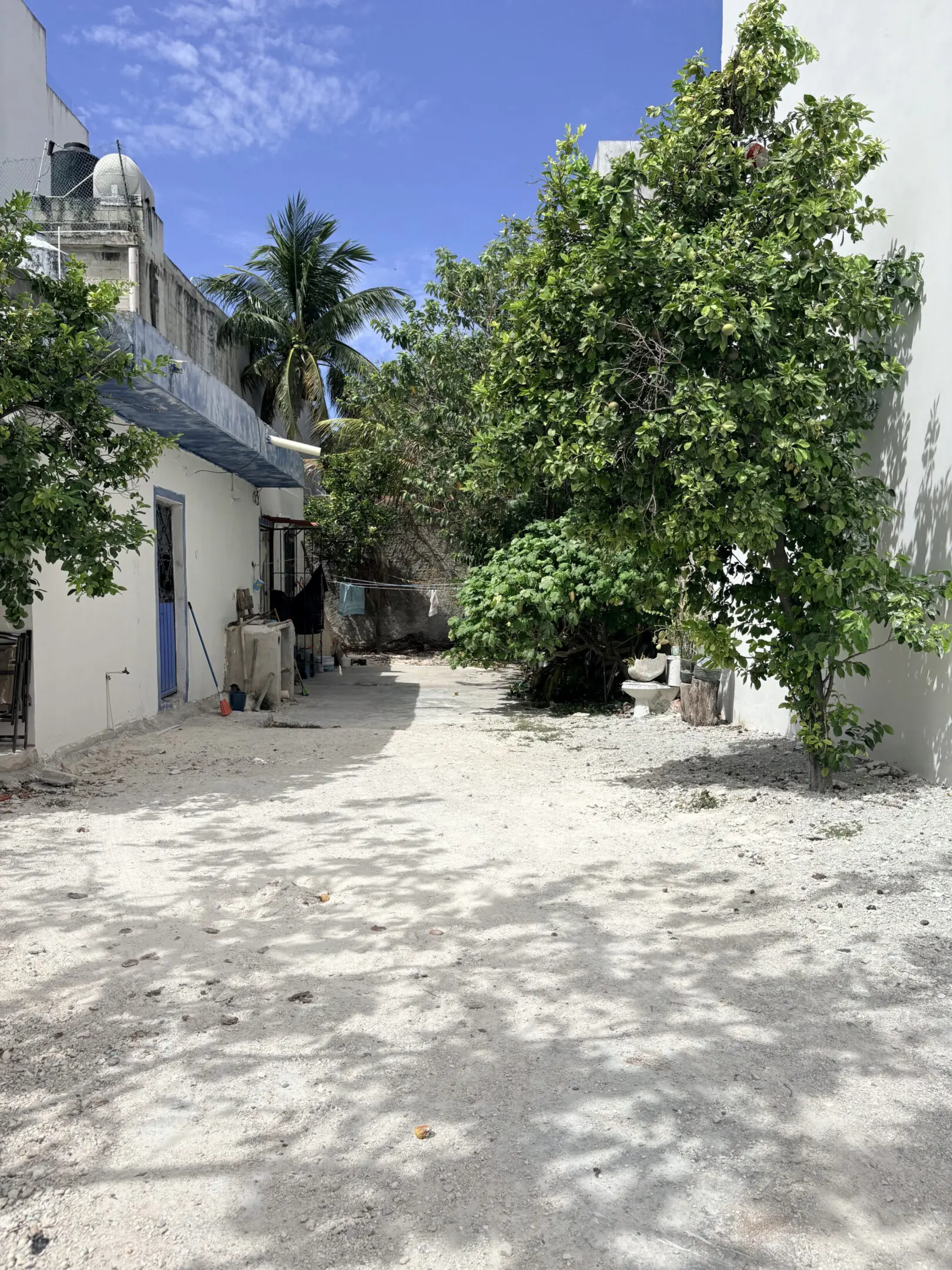 Sunlit sandy courtyard with trees and buildings