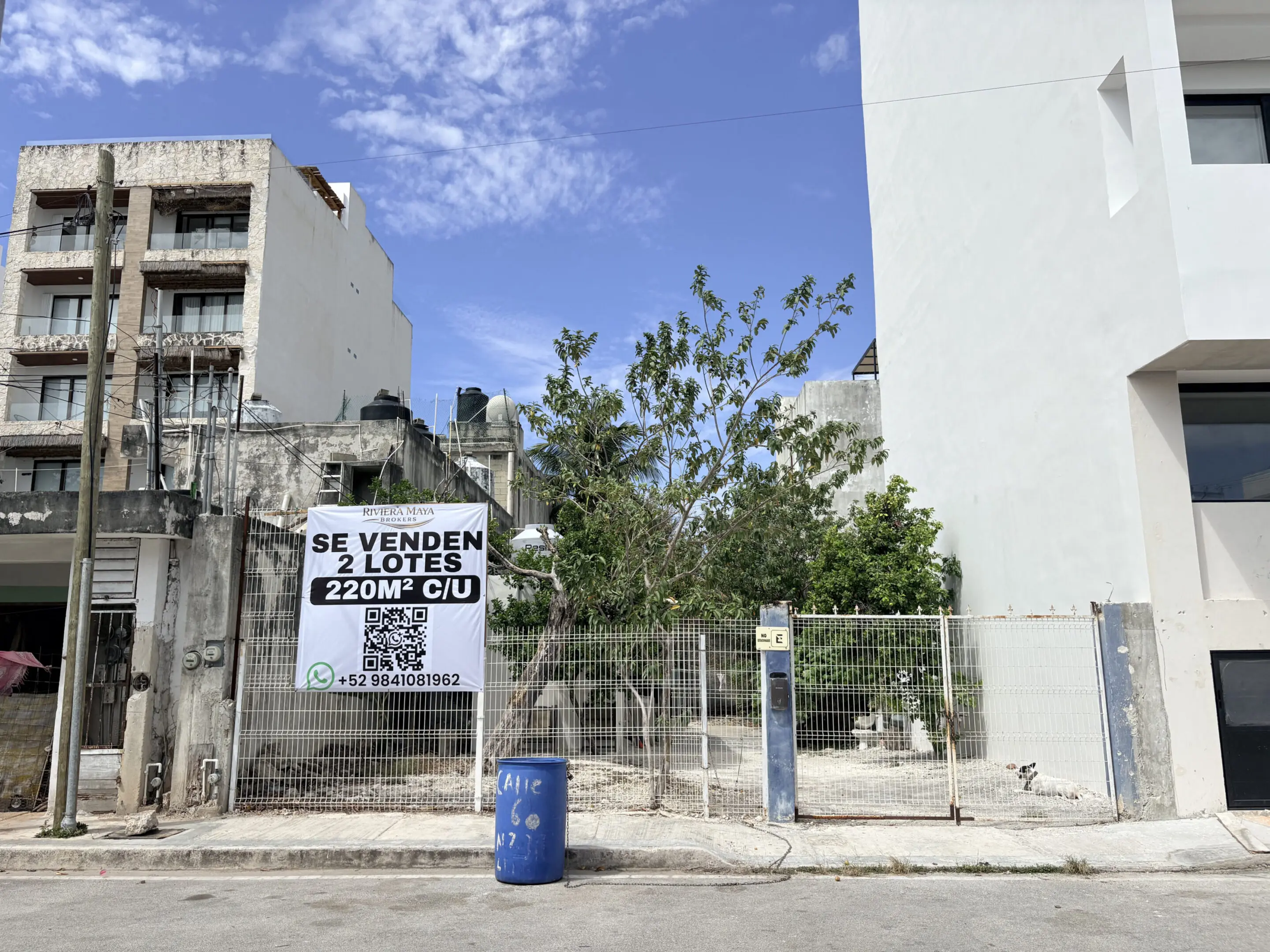 Two vacant lots for sale behind fence