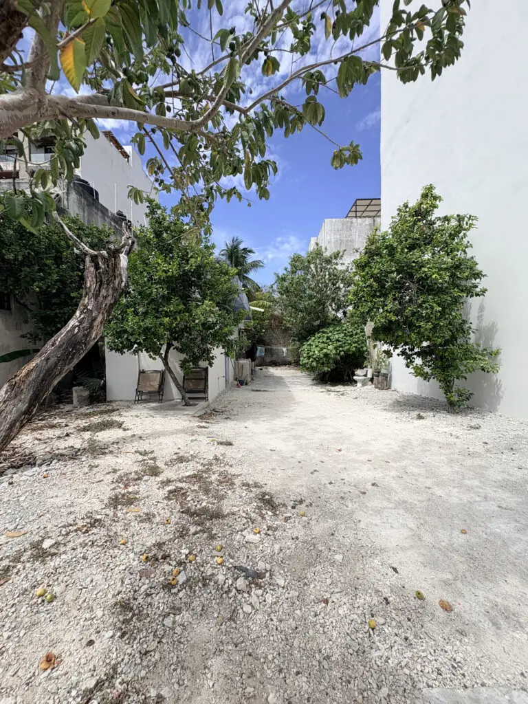 Sandy courtyard with trees between white buildings