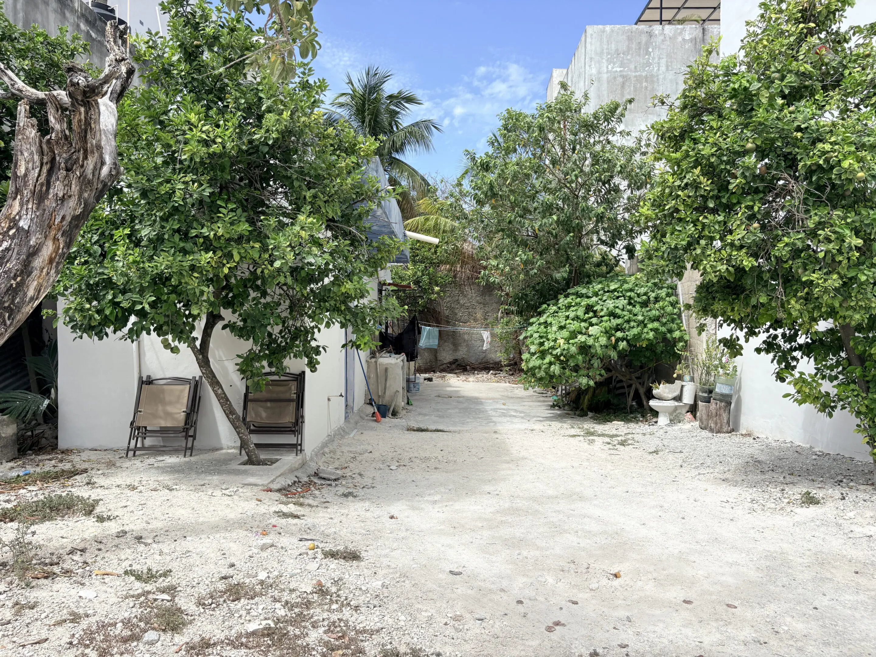 Sandy courtyard with trees and lounge chairs