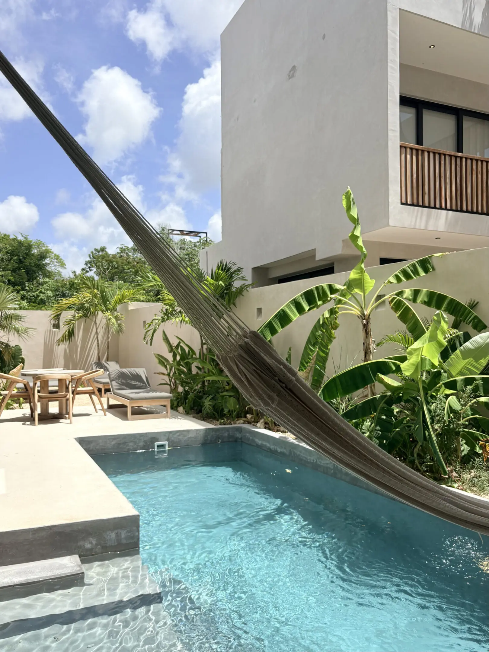 Modern backyard pool with hammock and plants
