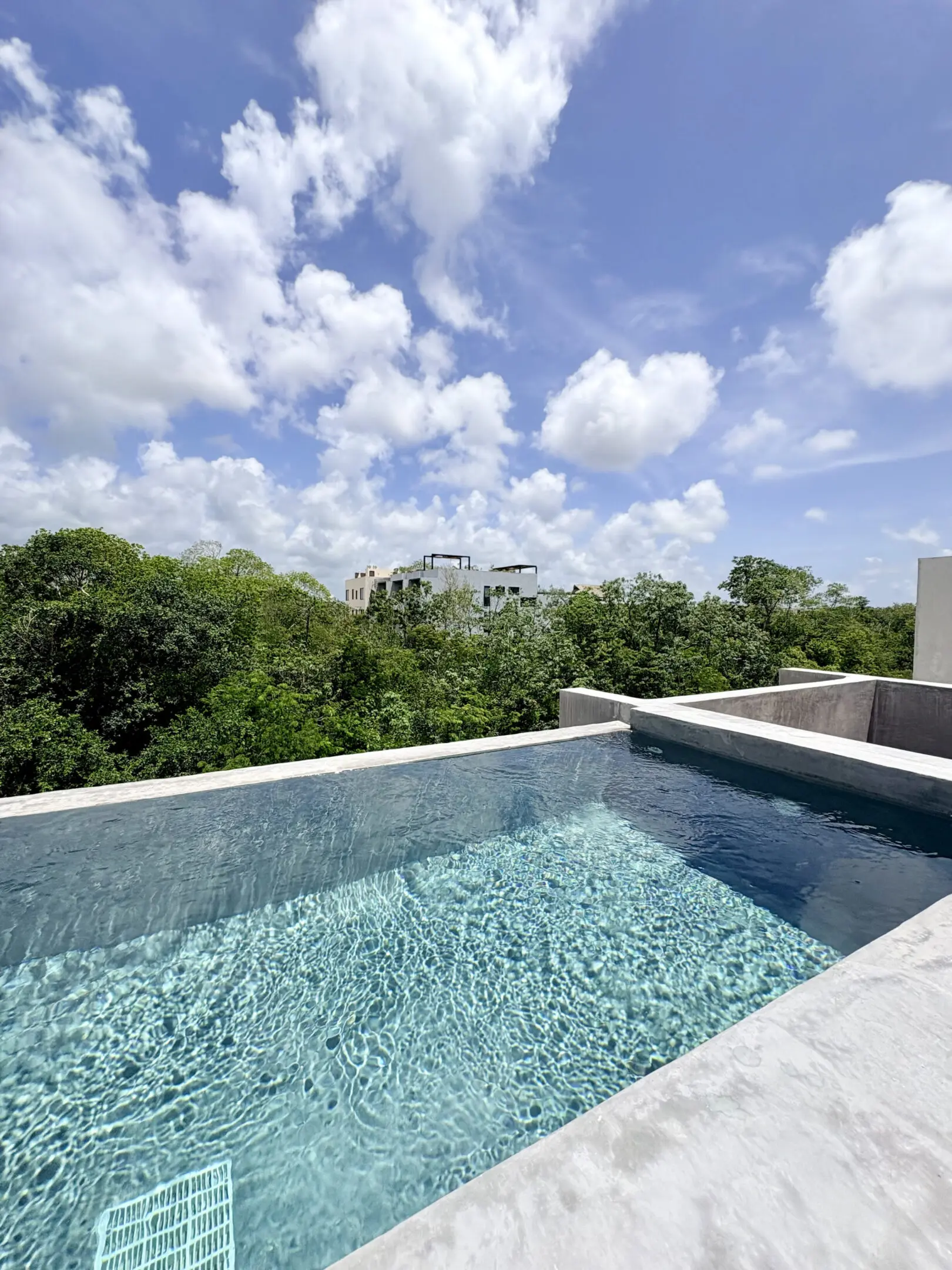 Rooftop pool overlooking trees and cloudy sky