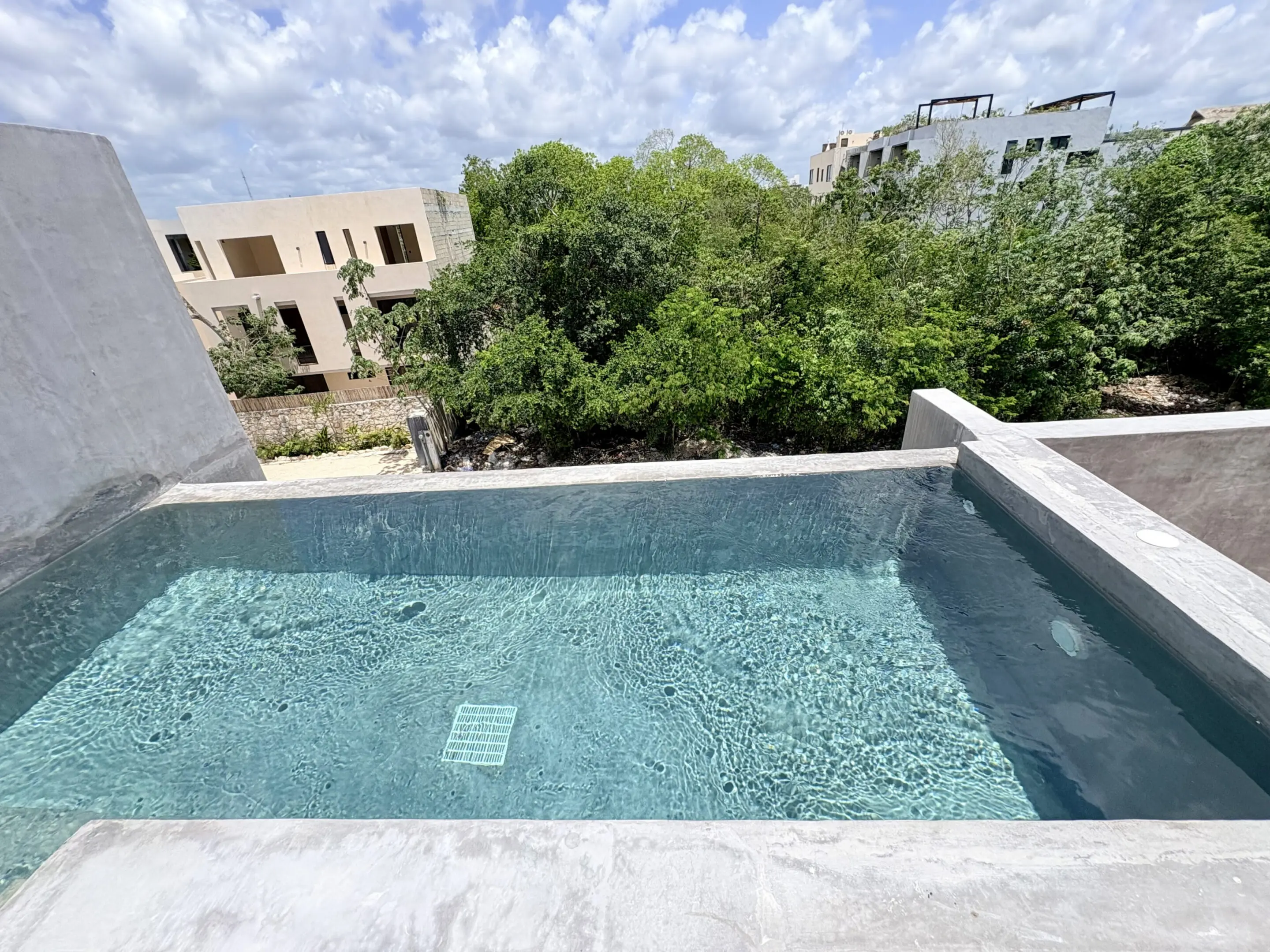 Rooftop plunge pool overlooking trees and buildings