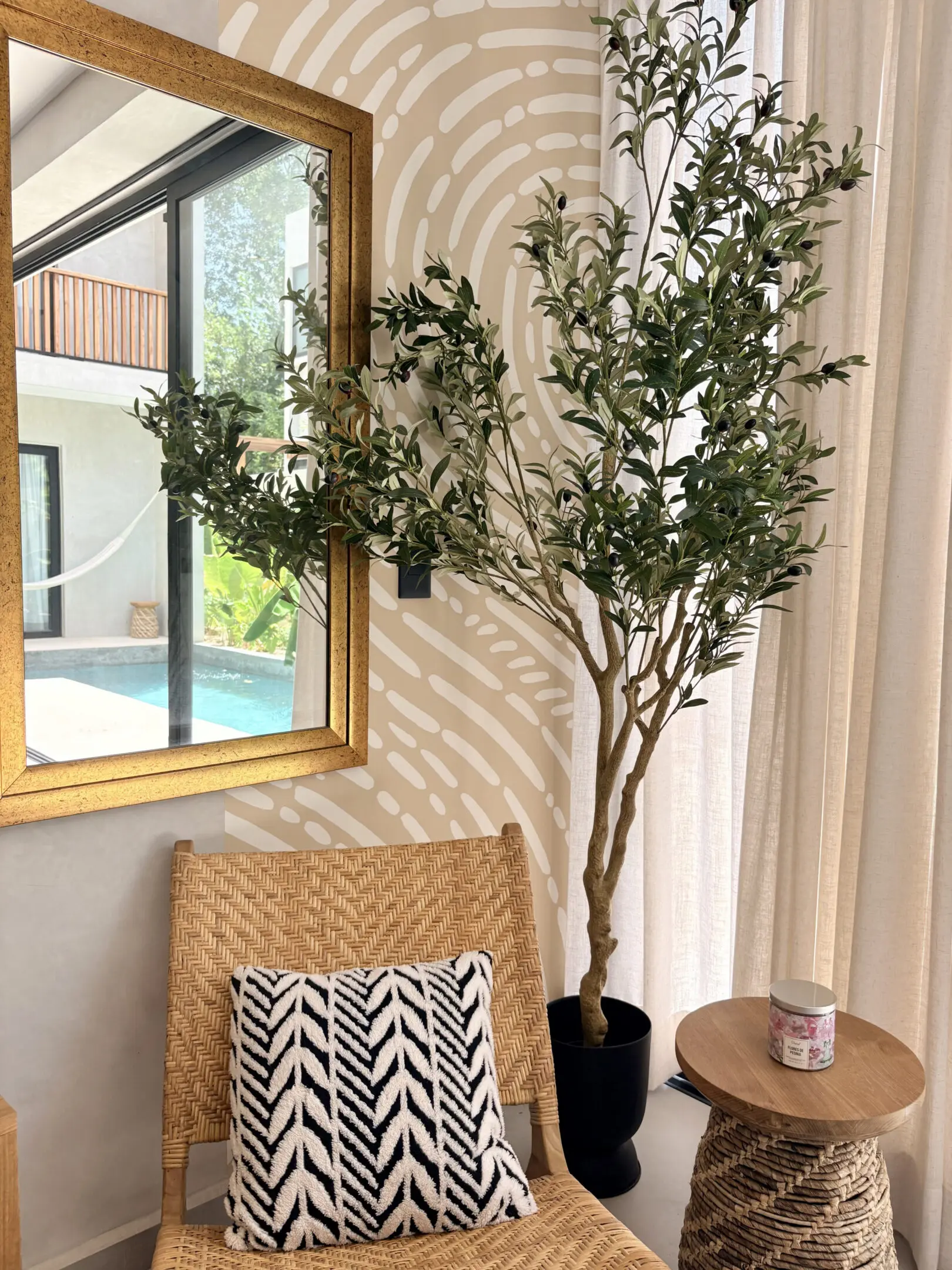 Indoor rattan chair with patterned pillow, potted plant