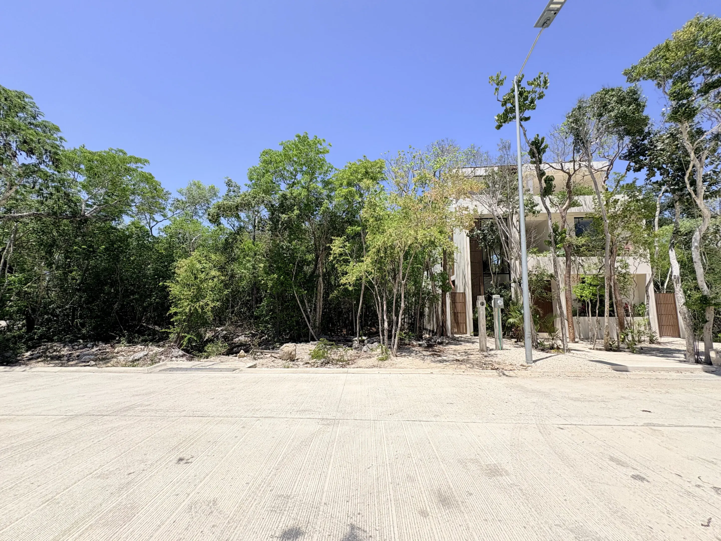 Modern house partially obscured by trees