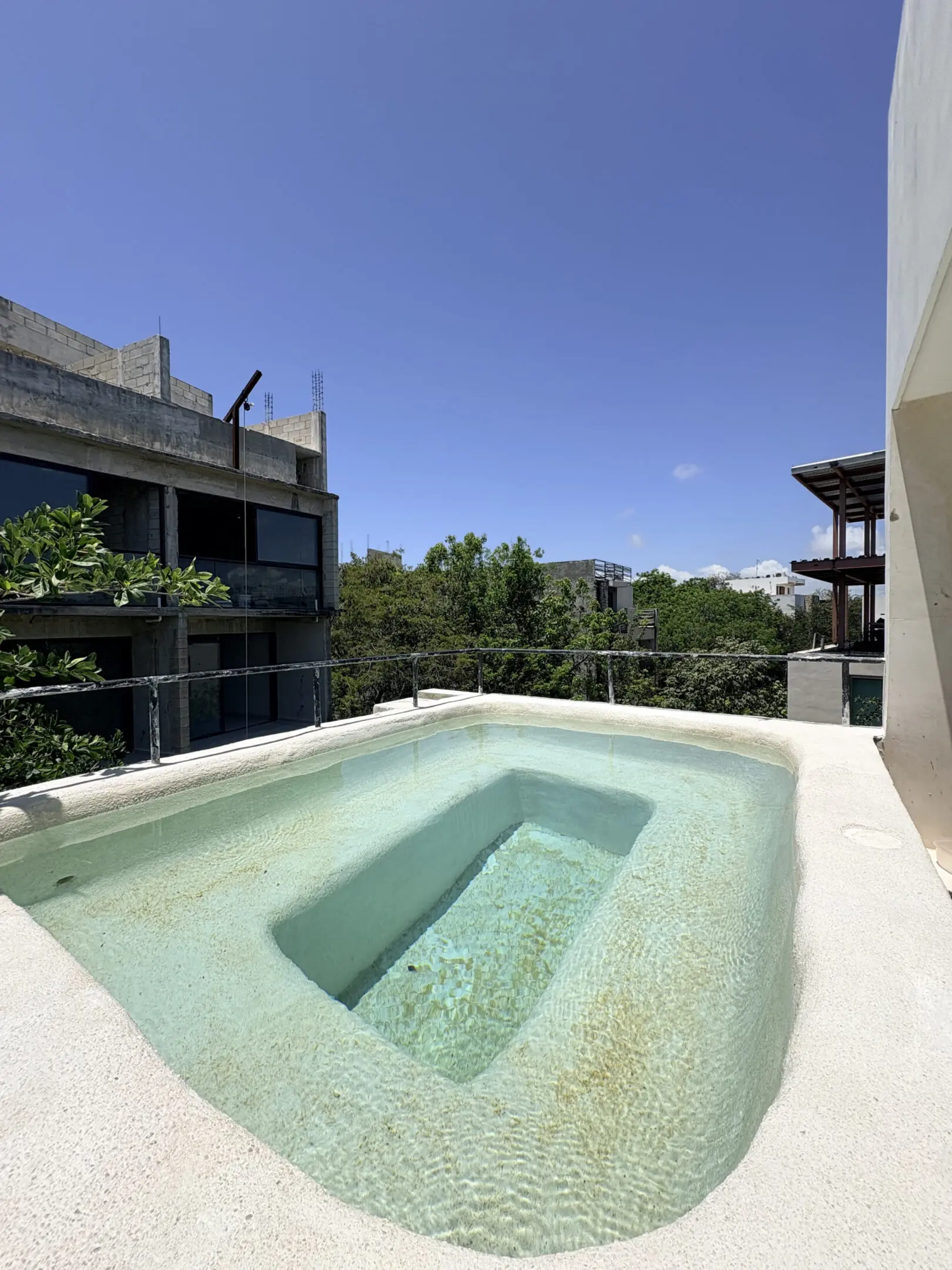 Rooftop plunge pool overlooking urban greenery