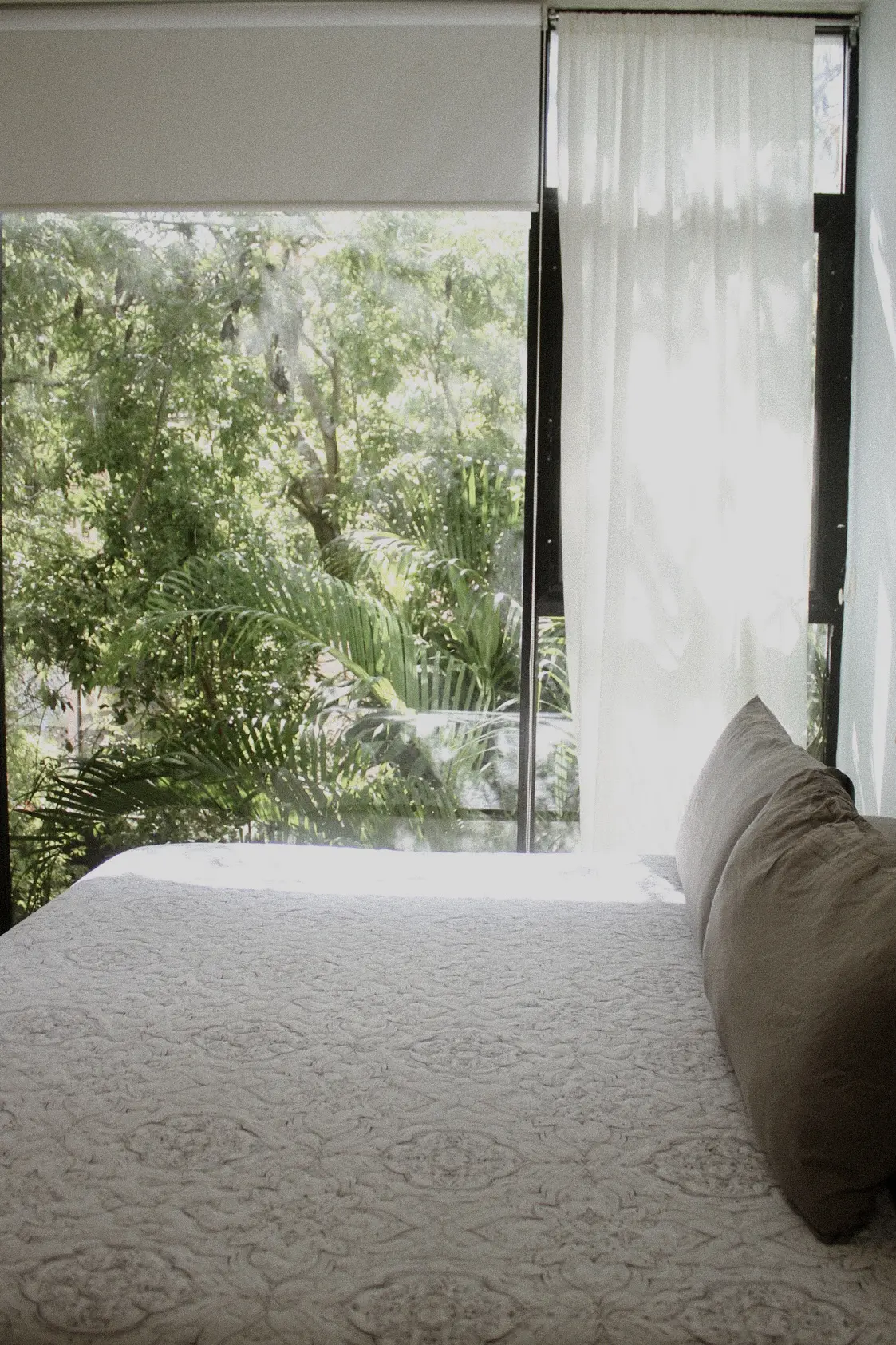 Sunlit bedroom with large window and greenery