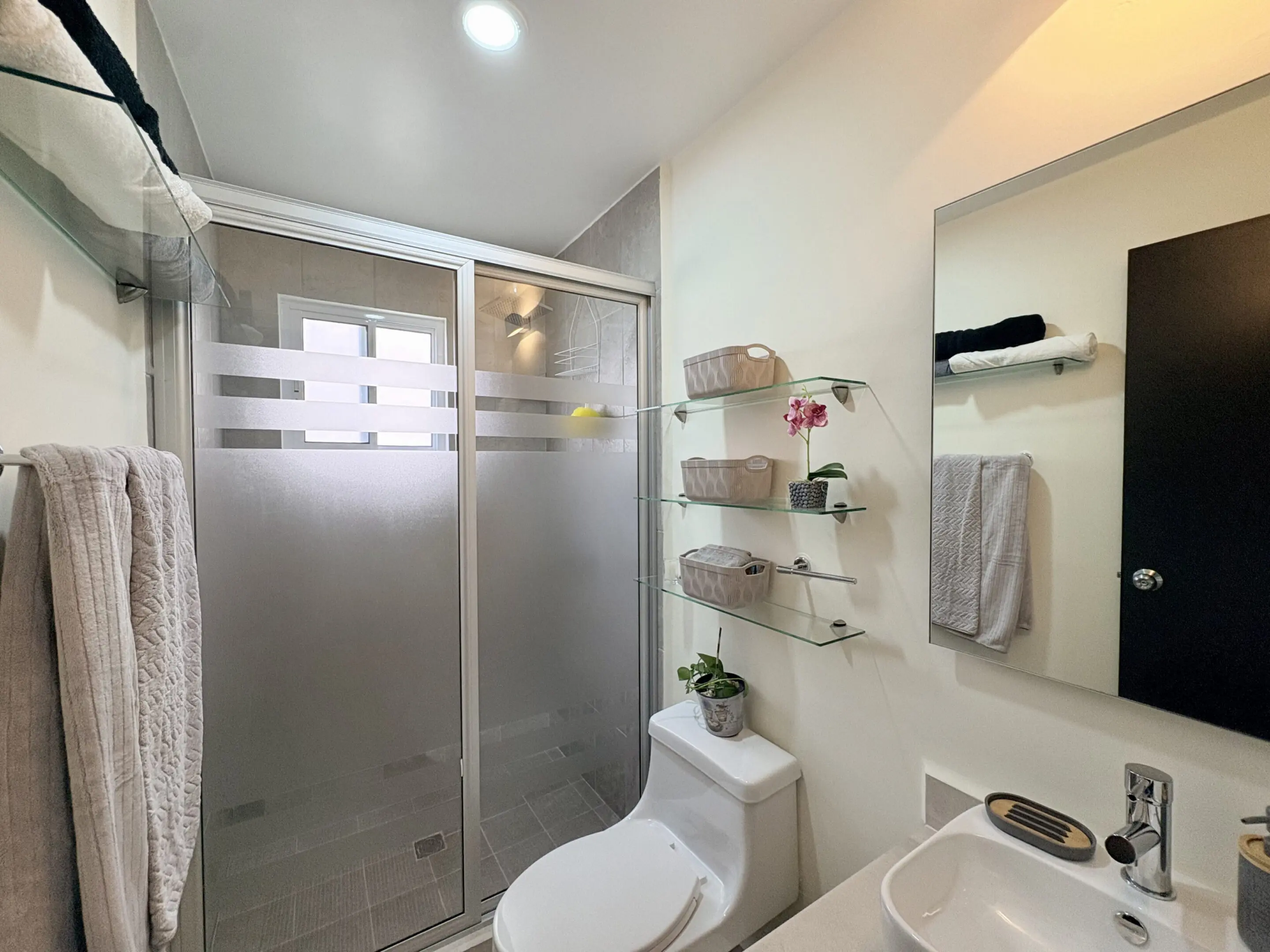 Modern bathroom with frosted glass shower door