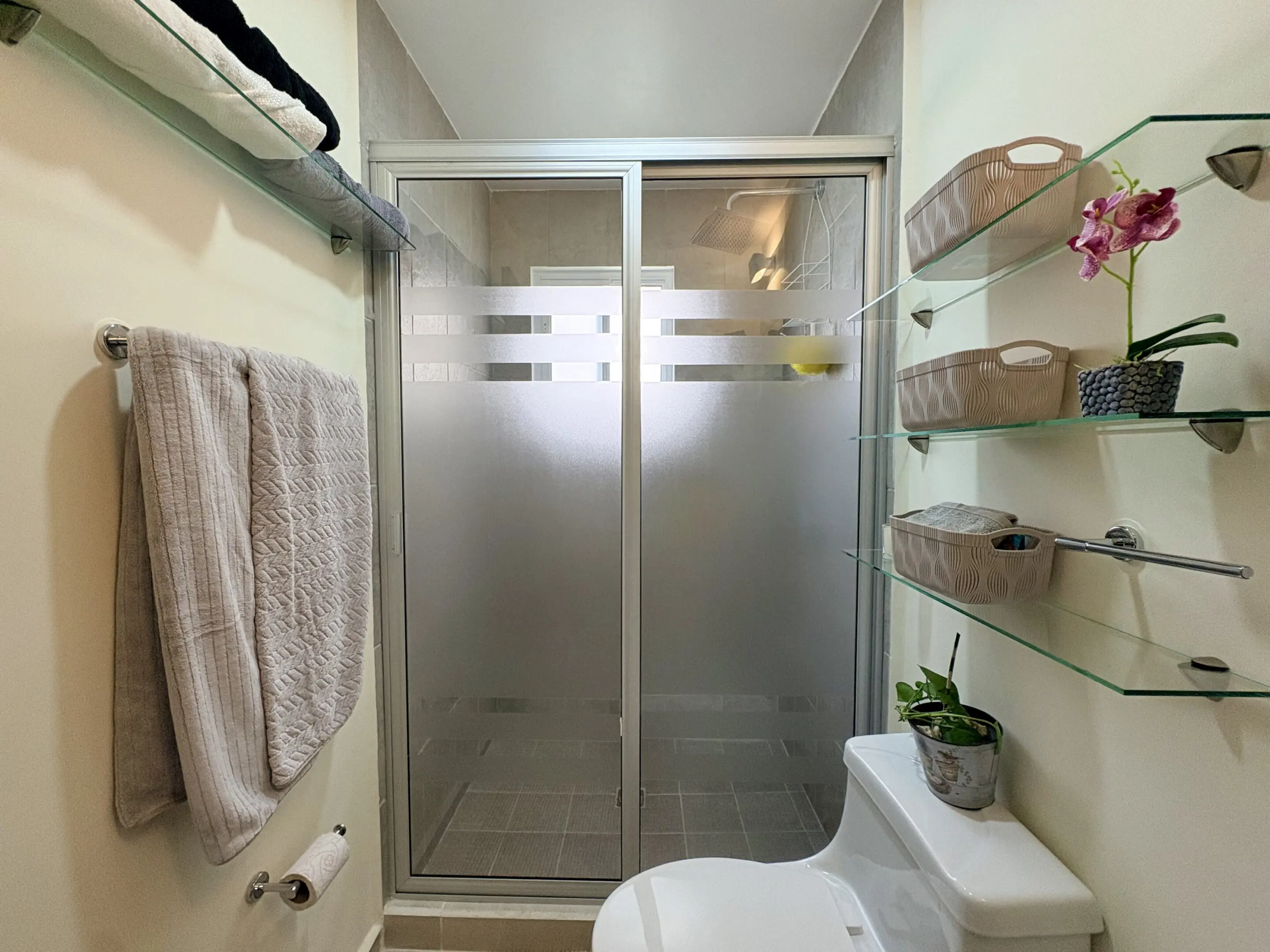 Modern bathroom with frosted glass shower doors