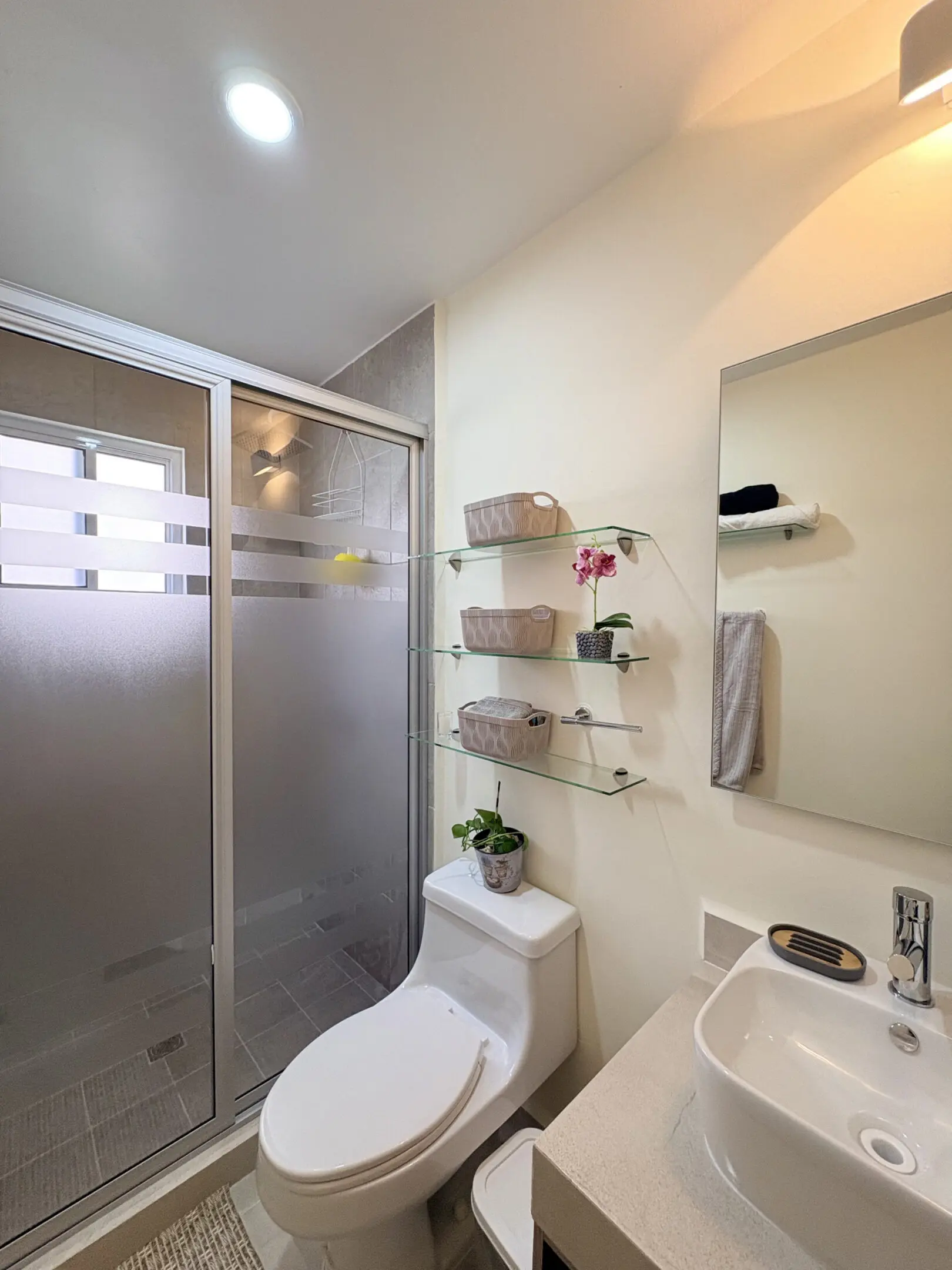 Modern bathroom with frosted glass shower door