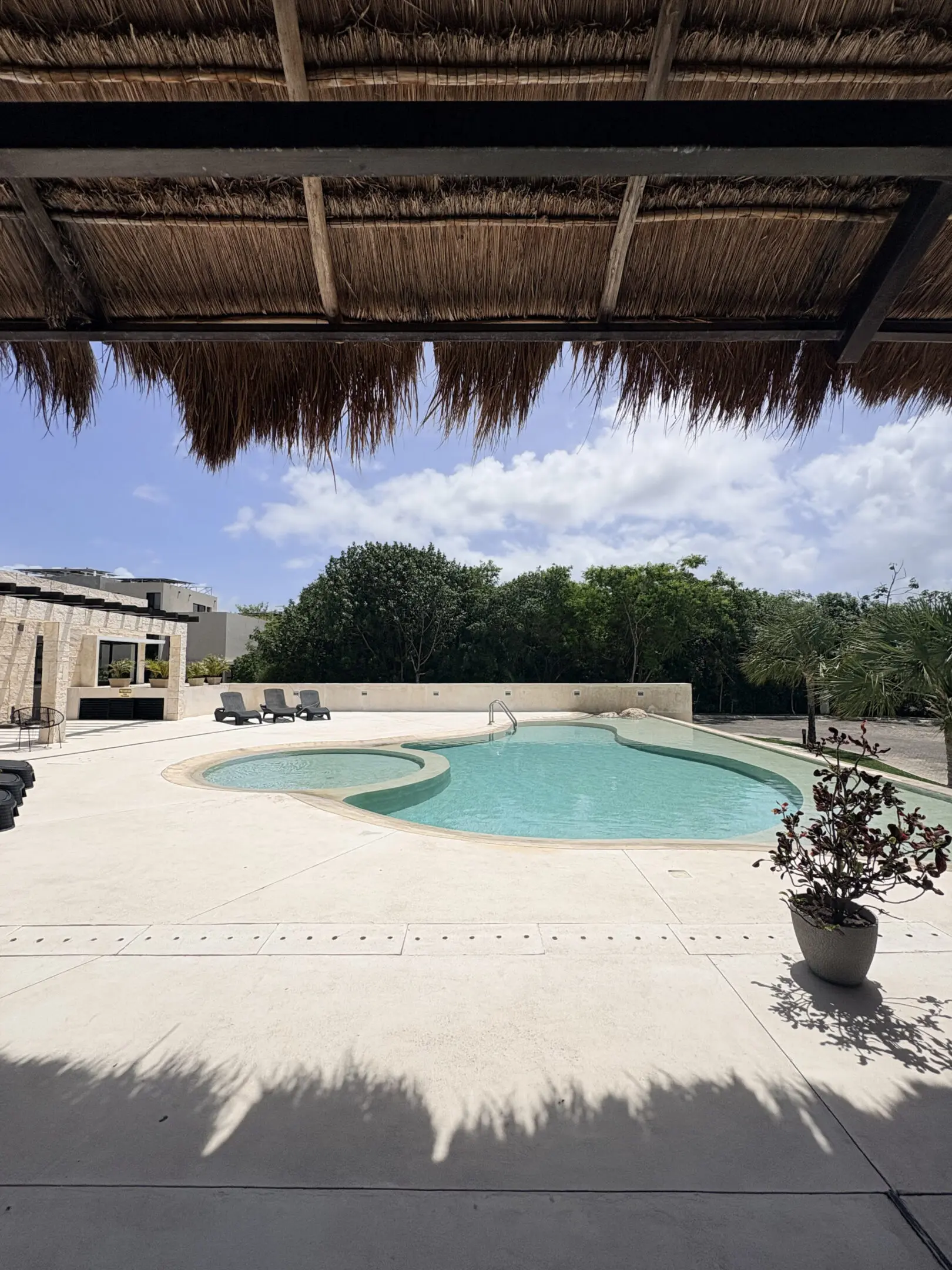 Curved outdoor pool beneath thatched-roof shaded patio