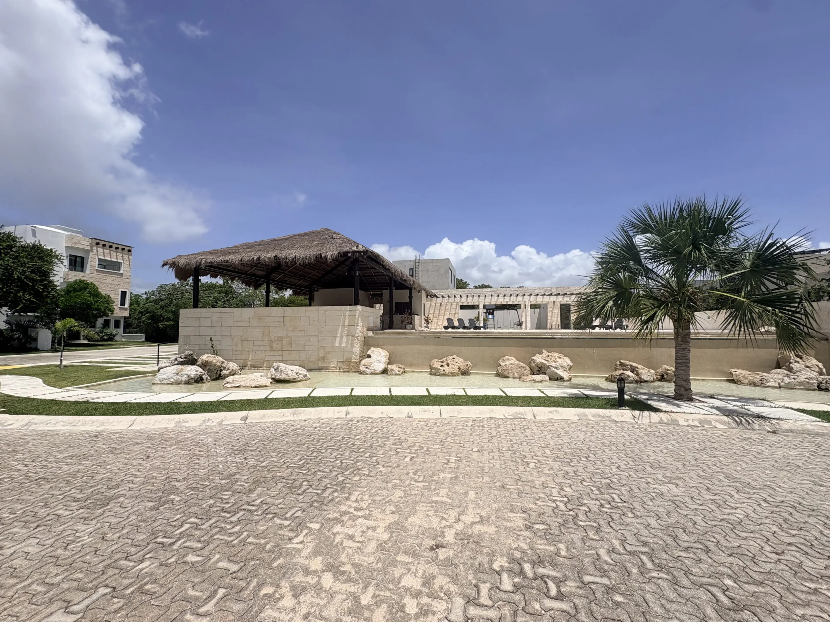 Thatched-roof pavilion and palm by stone wall