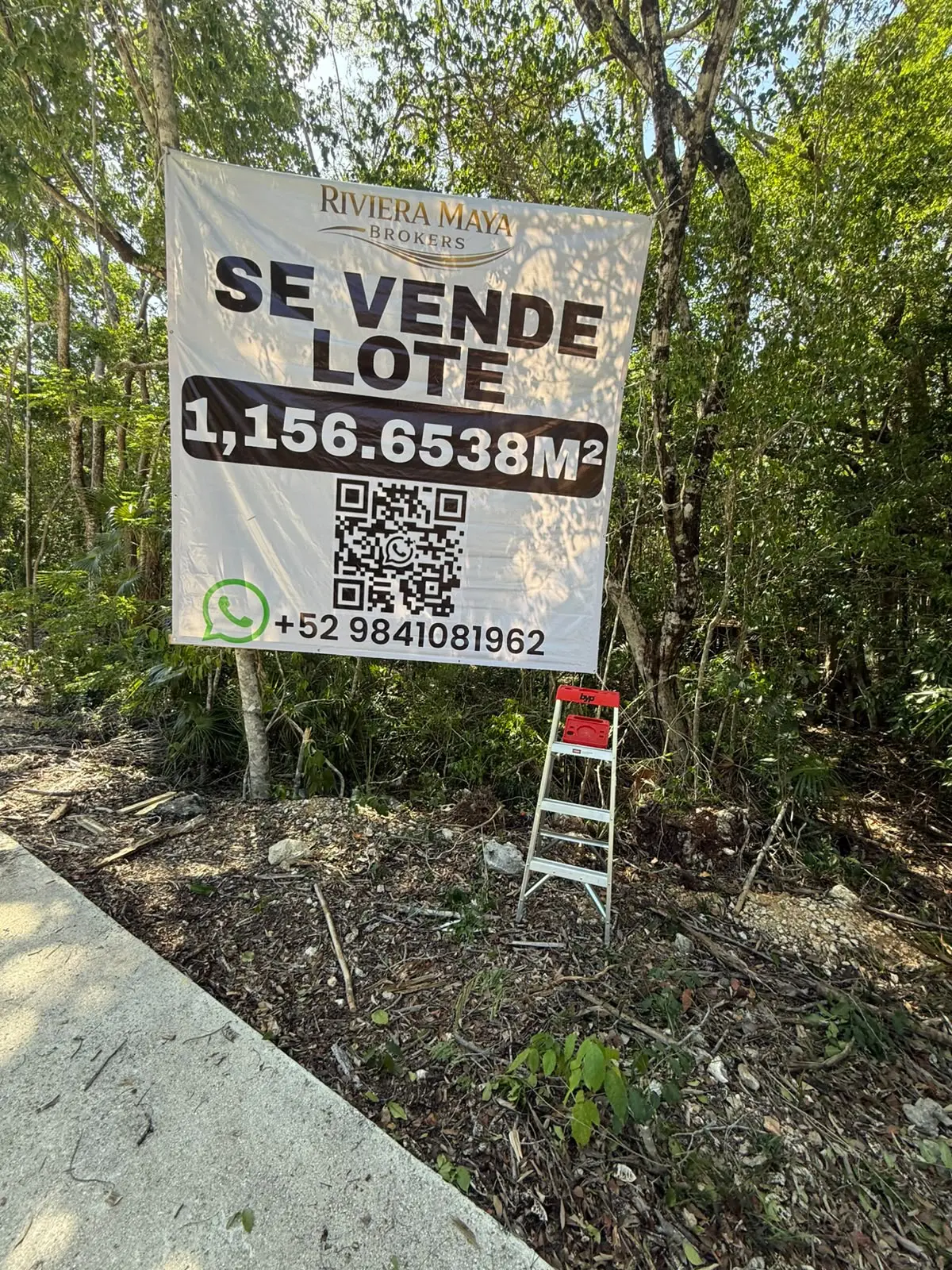 Lot for sale sign in wooded area