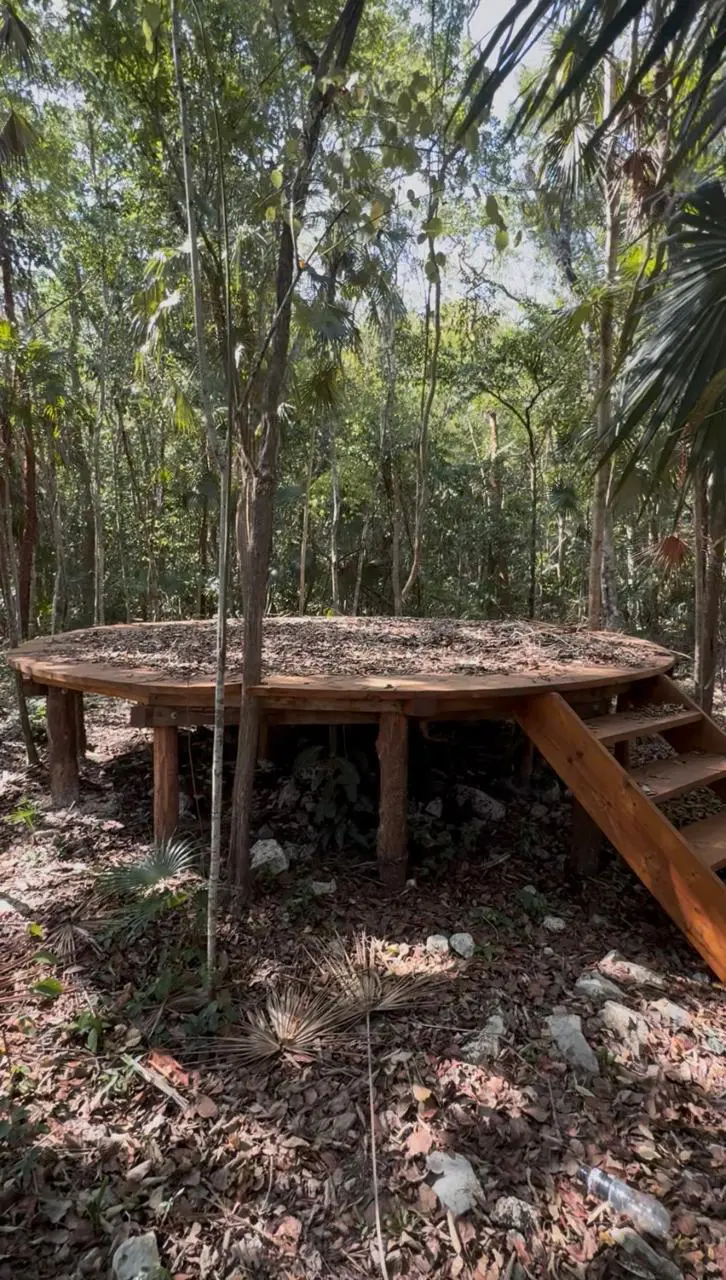 Round wooden platform with steps in forest