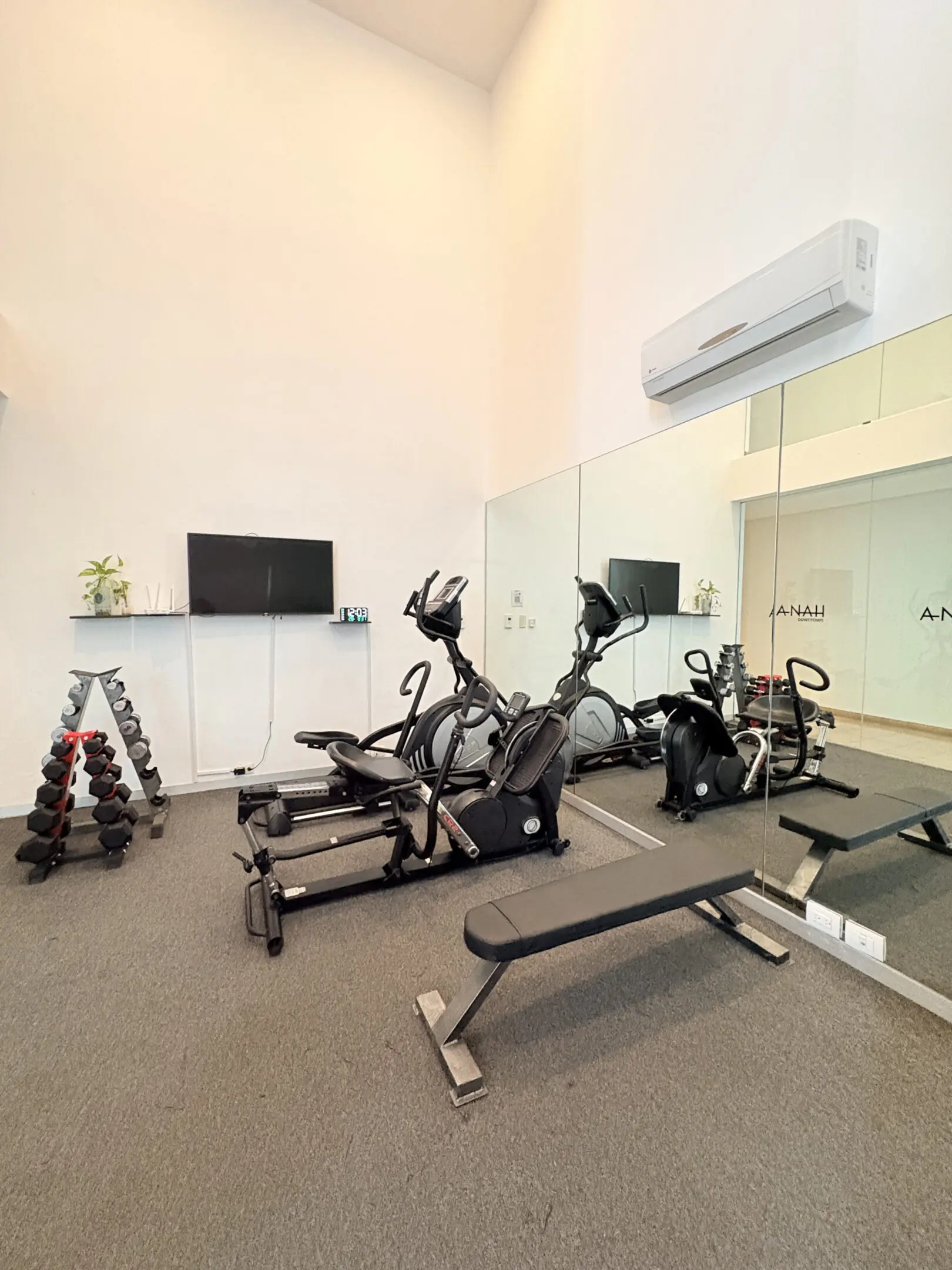 Modern gym with ellipticals, bench, dumbbells
