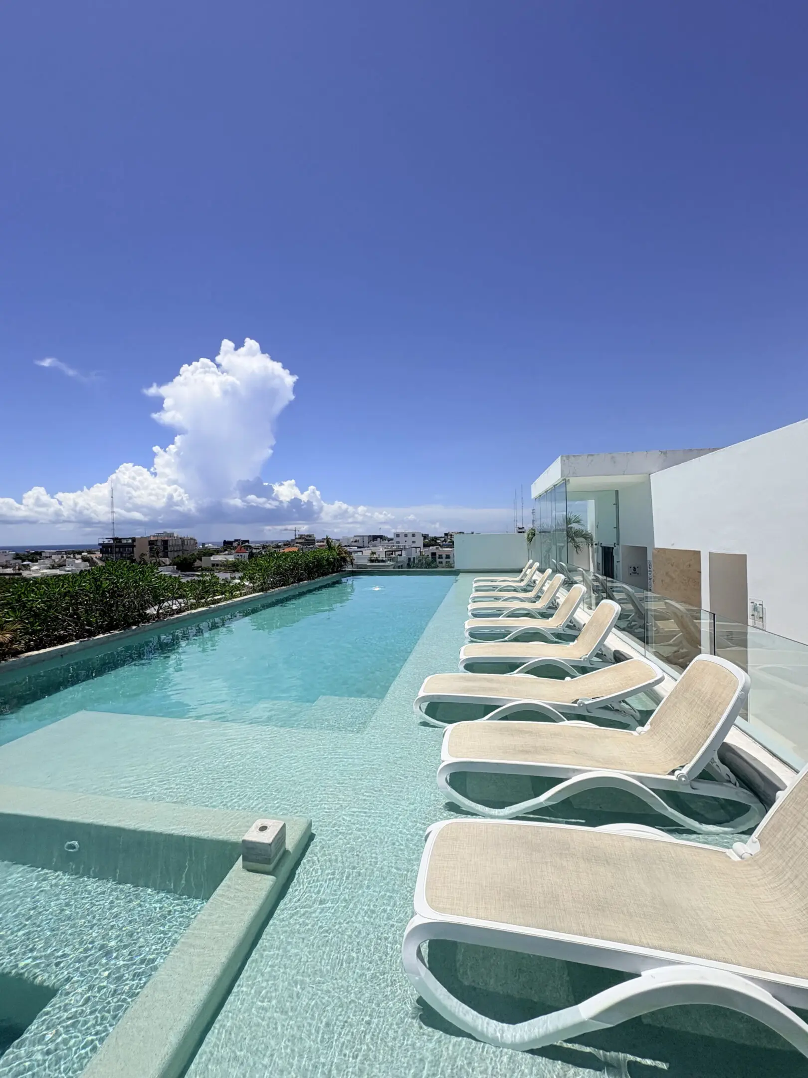 Rooftop infinity pool with lounge chairs